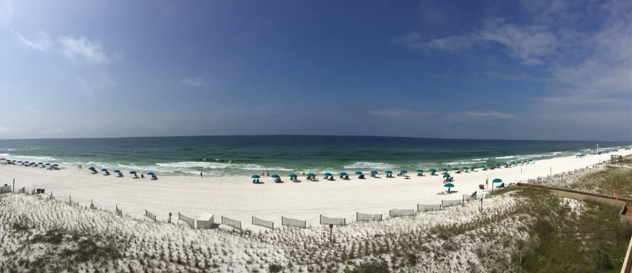 IMG_5620.jpg