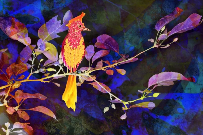 Petal Bird
