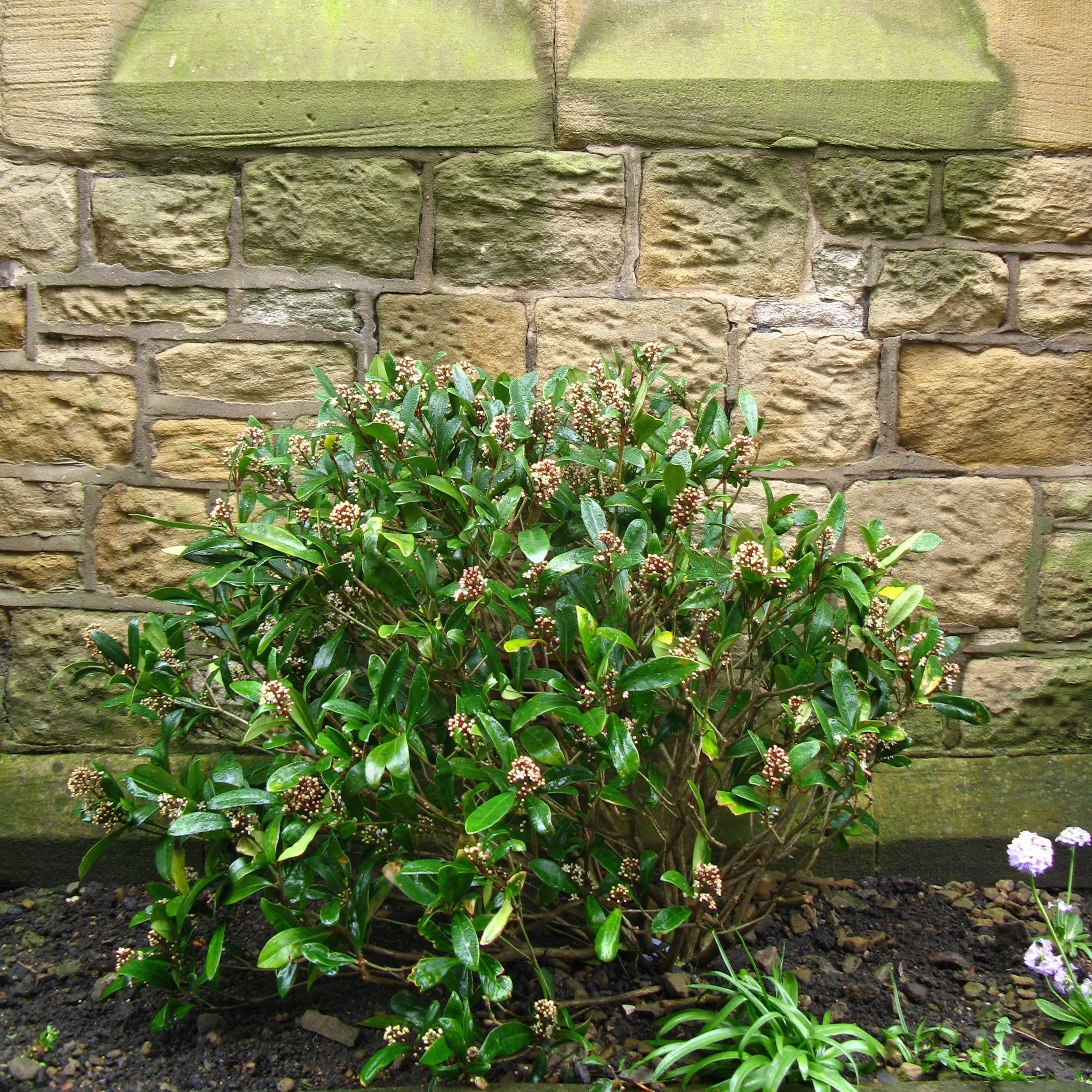 Church Grounds