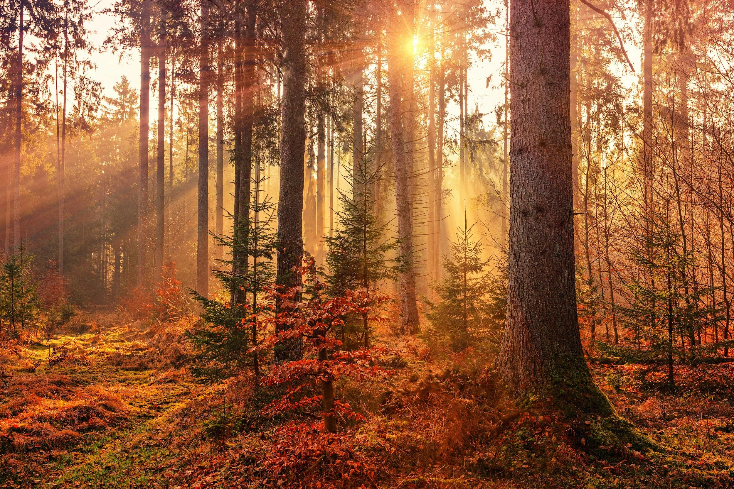 Nov: Thoughts from Huw