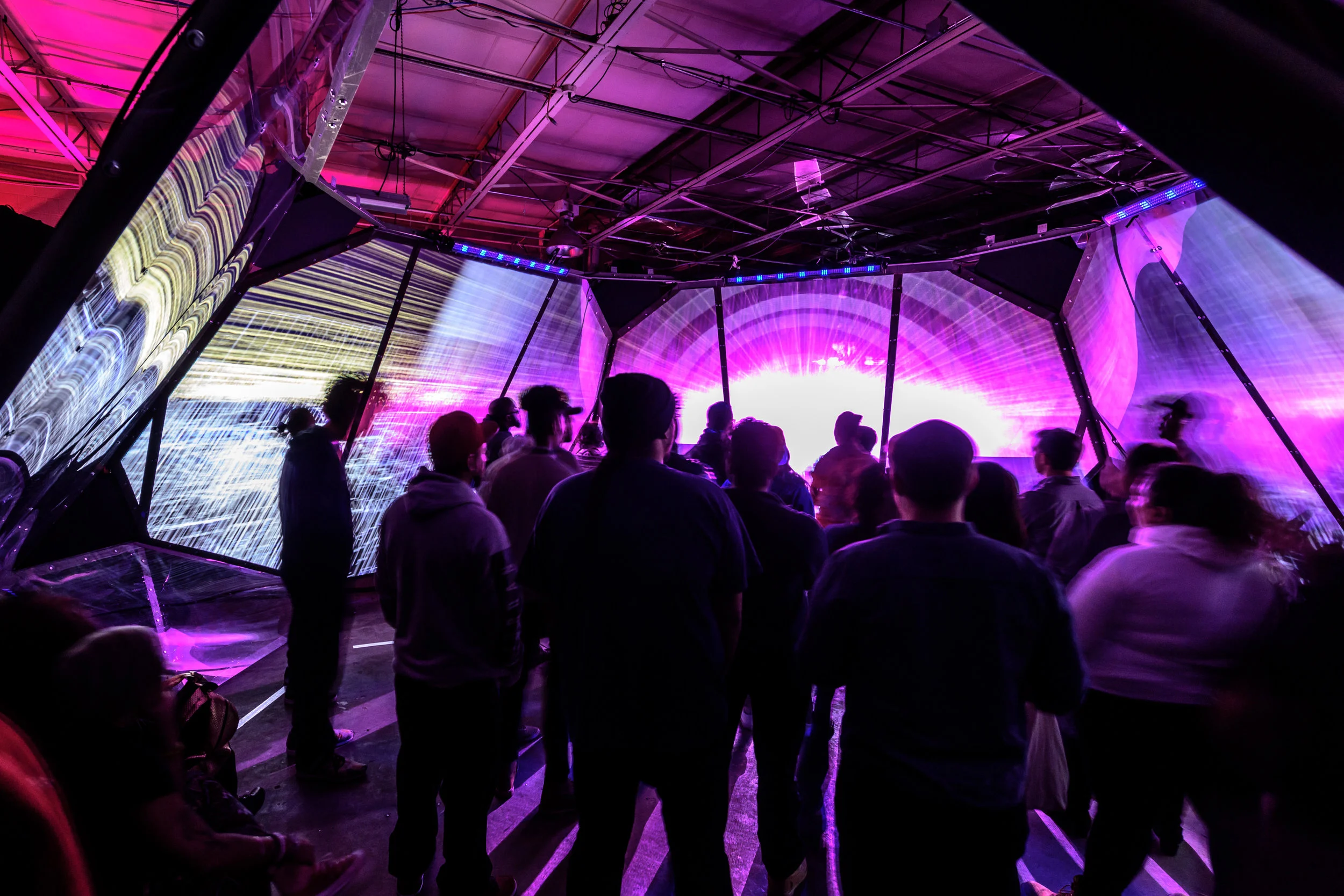 Beware of the Dandelions Oct 28 2016-2572.JPG