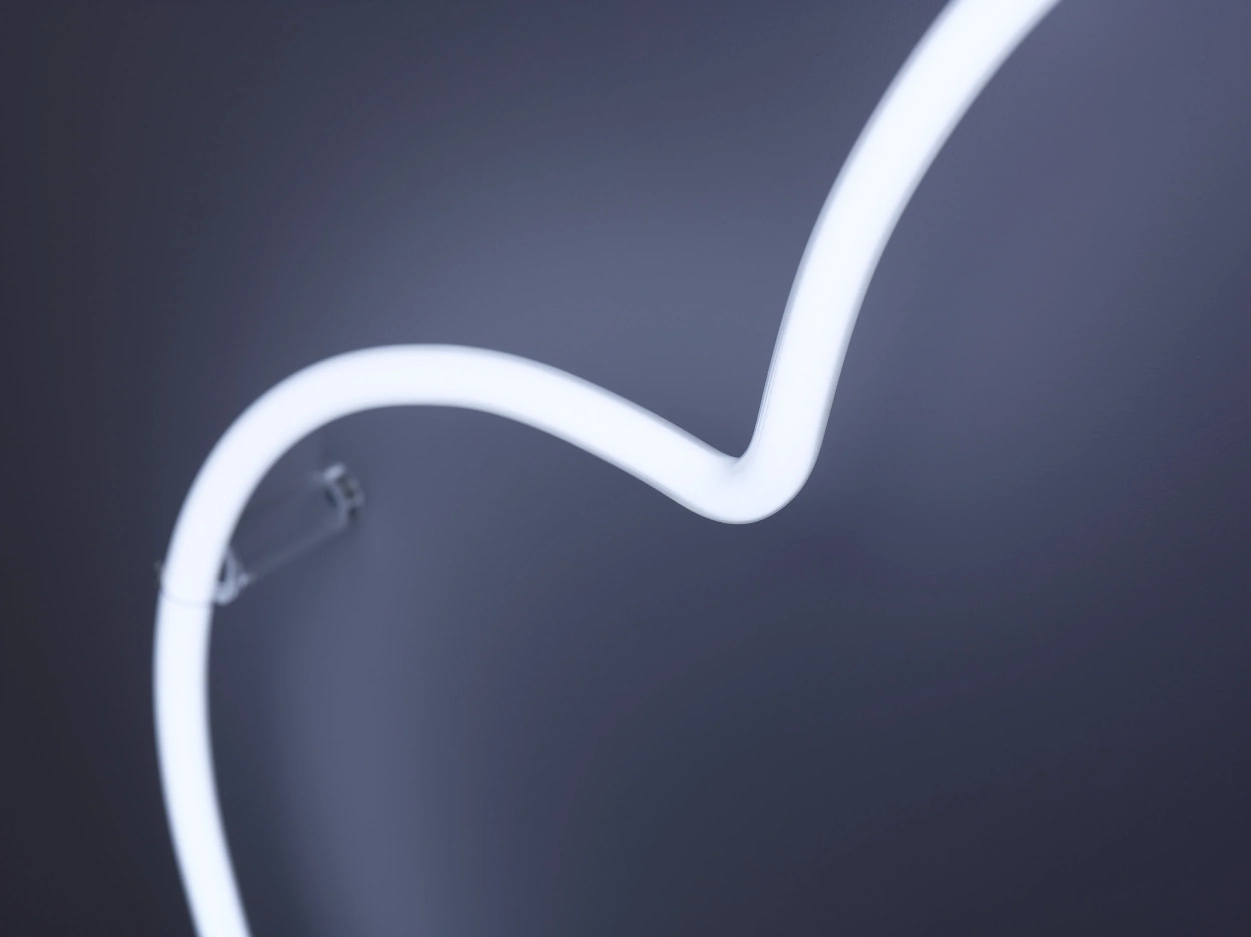 Type2 NEON178212.jpg