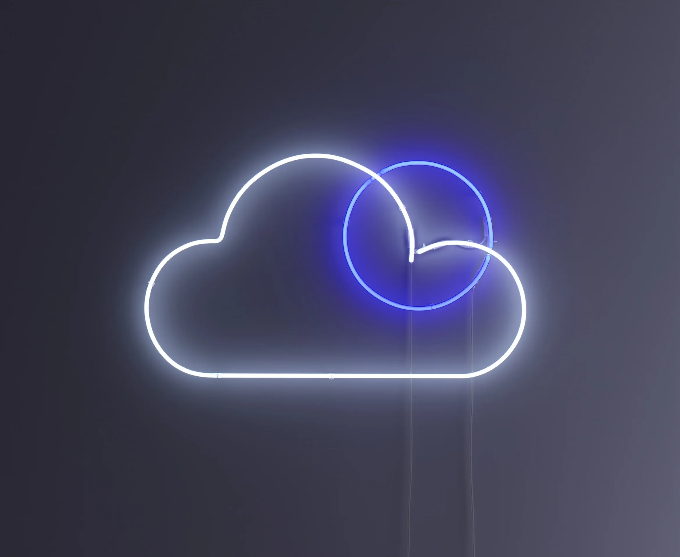 Type2 NEON178241.jpg