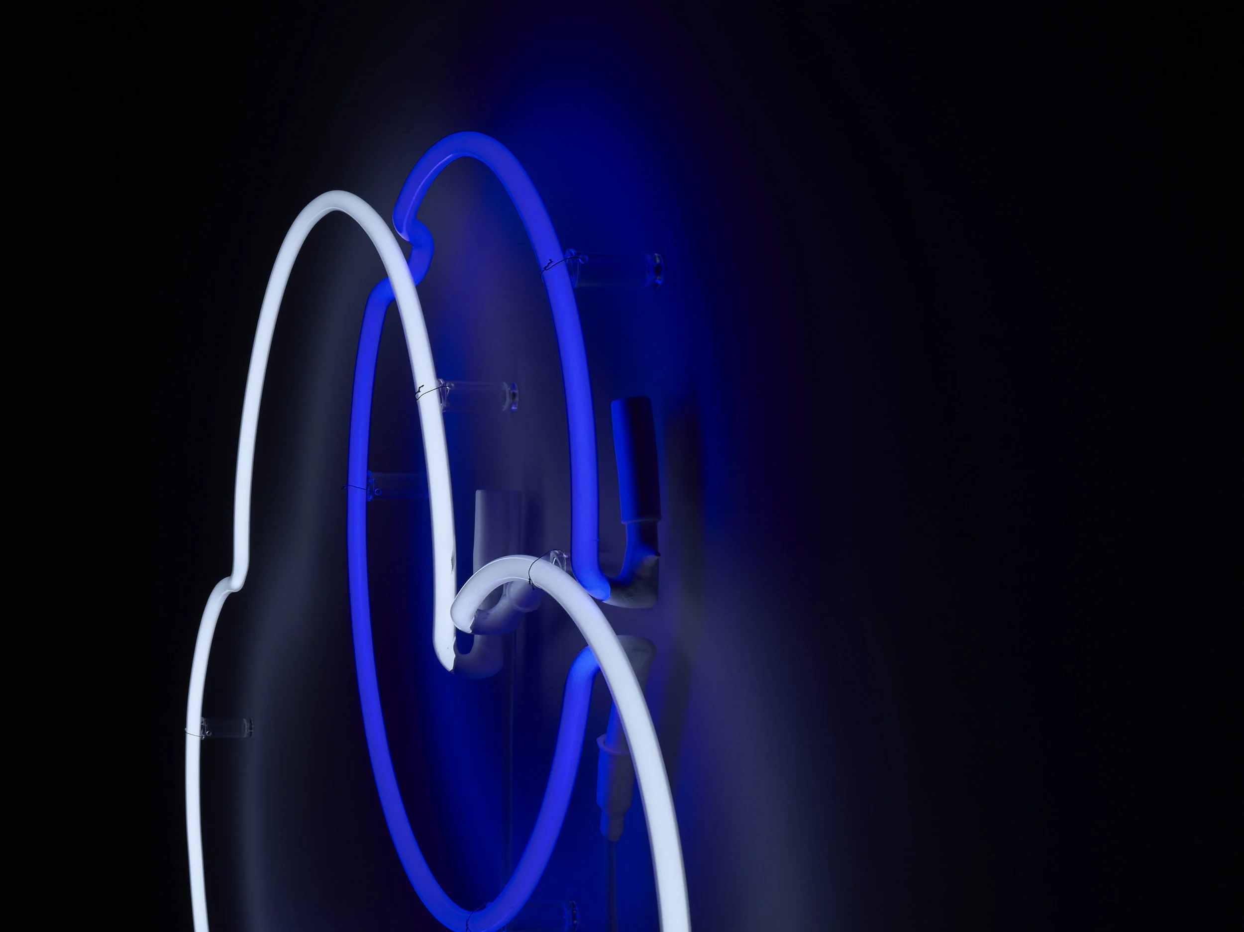 Type2 NEON178336.jpg
