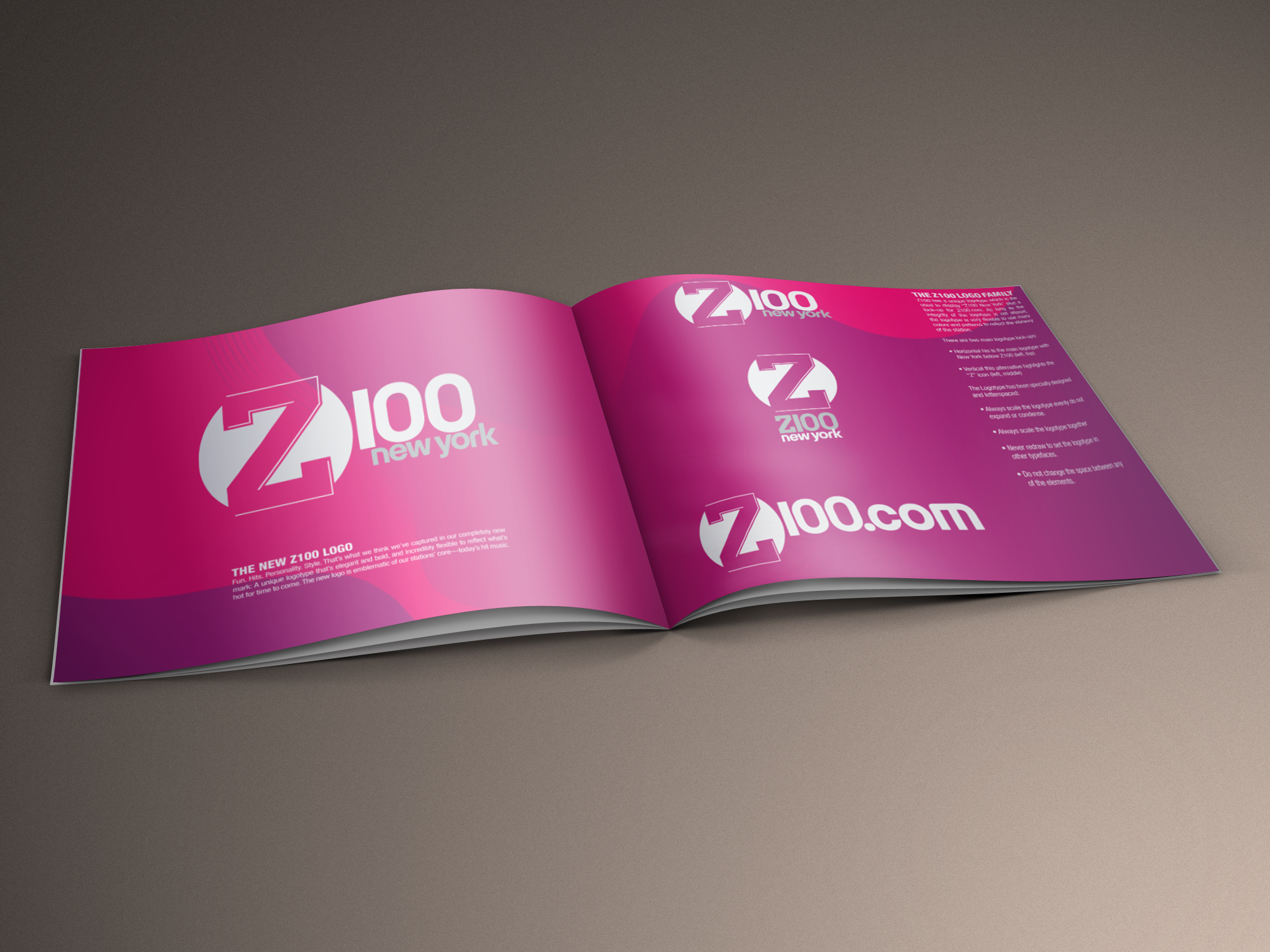Z100-Brand-Guidelines-Spread-Mock-2.png