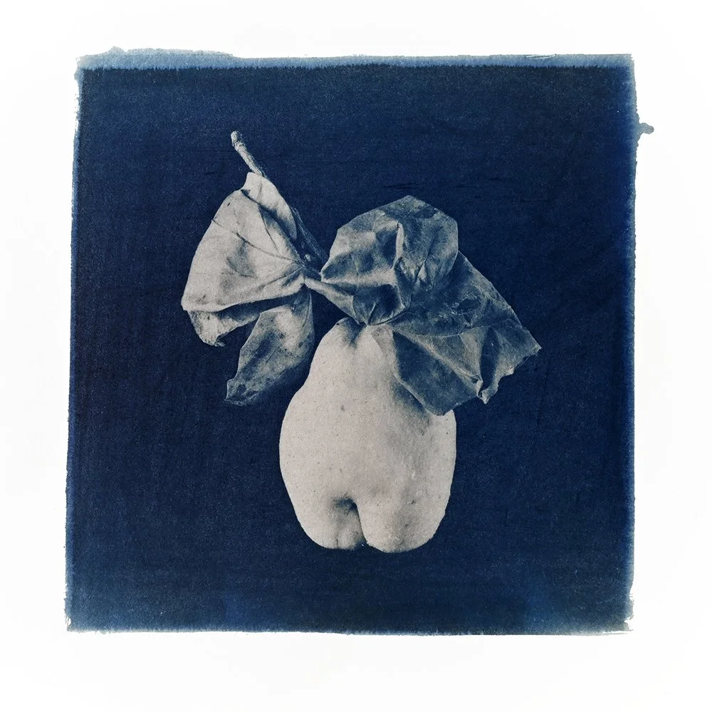 QUINCE PRINT 20 X 20 CM.jpg