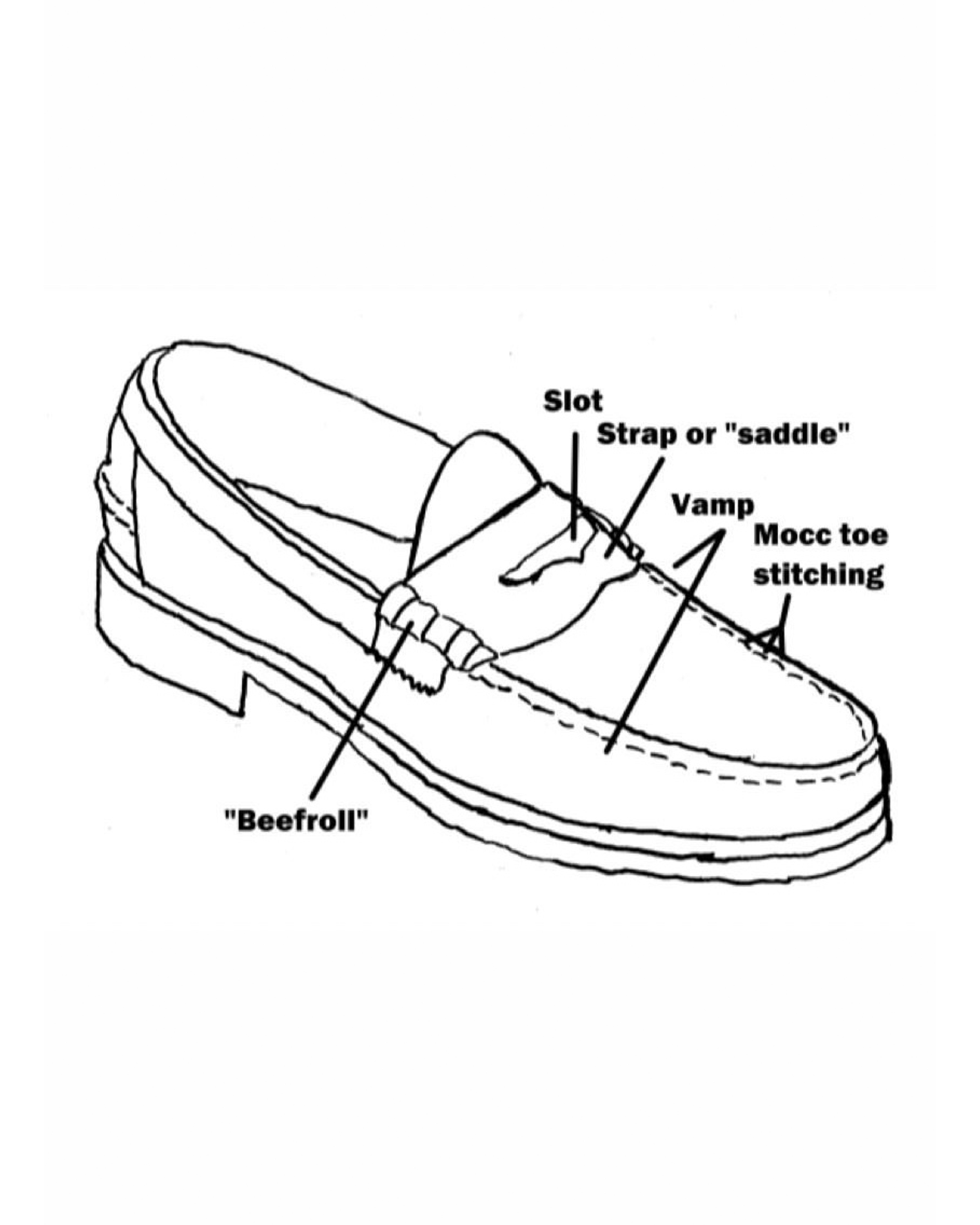 loaferanatomy.jpg
