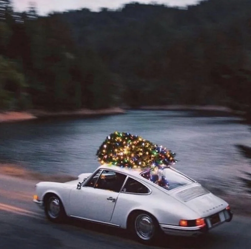 FMF Last-Minute Holiday Gift Guide