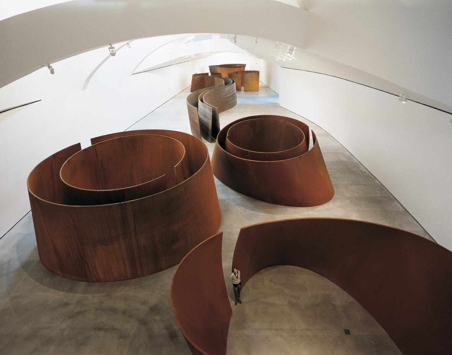Richard-Serra-Torqued-Ellipses-I-II-IV-V-VI-1996-99-Double-Torqued-Ellipses-I-II-III-1997-99-and-Snake-1996-Nine-sculptures-weathering-steel-Variable-dimensions-Installation-view.jpg