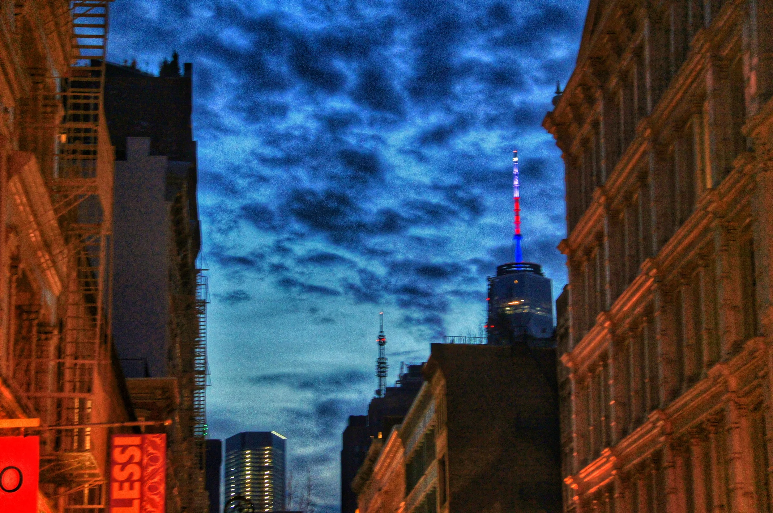 DSC01041_1.jpg