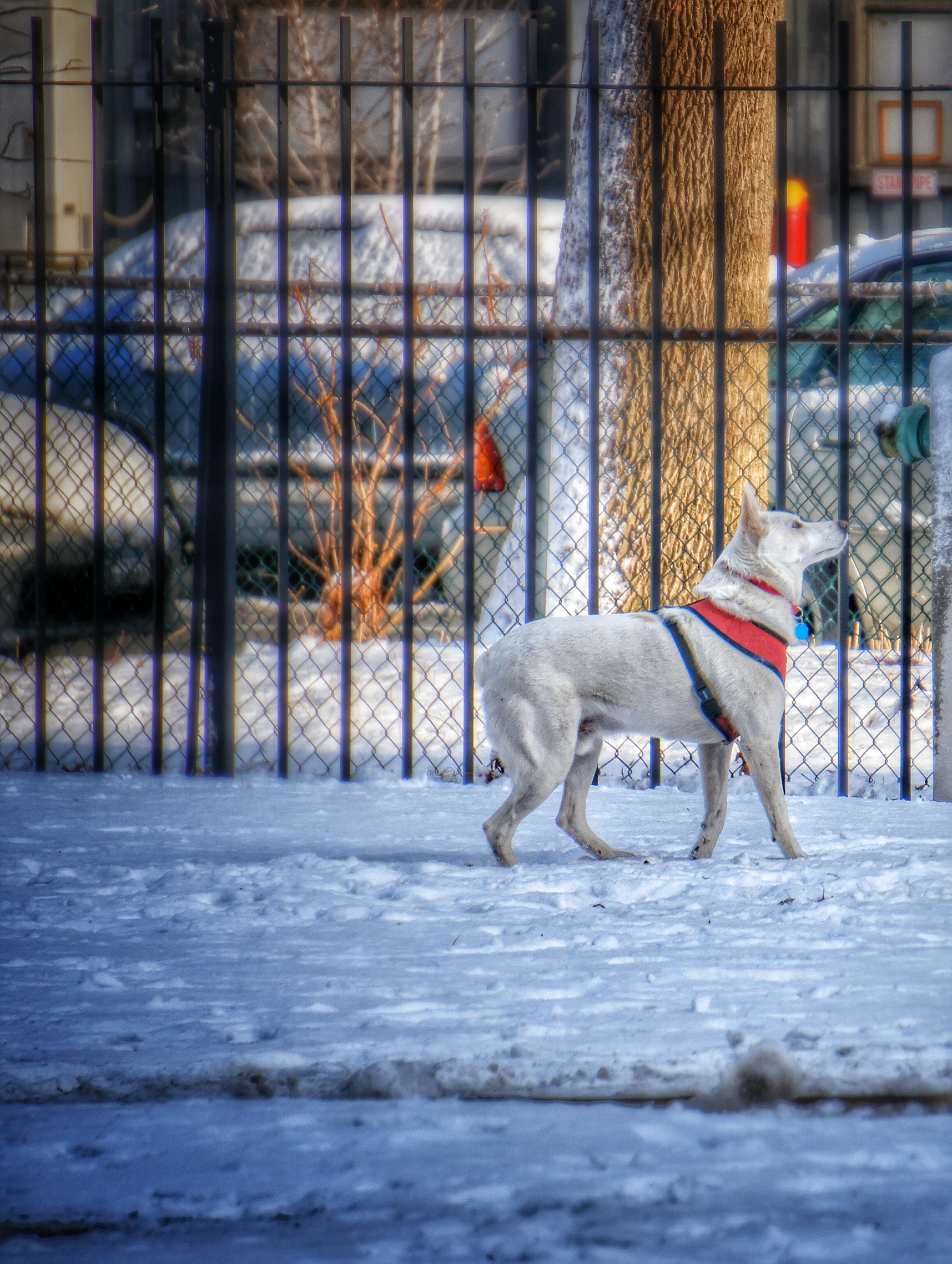 DSC01141_1.jpg
