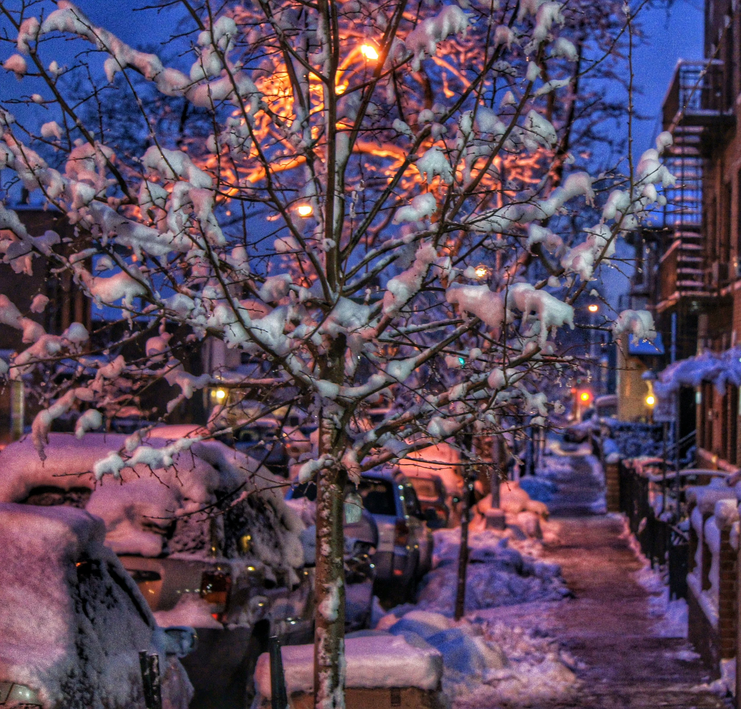 DSC01107_1.jpg