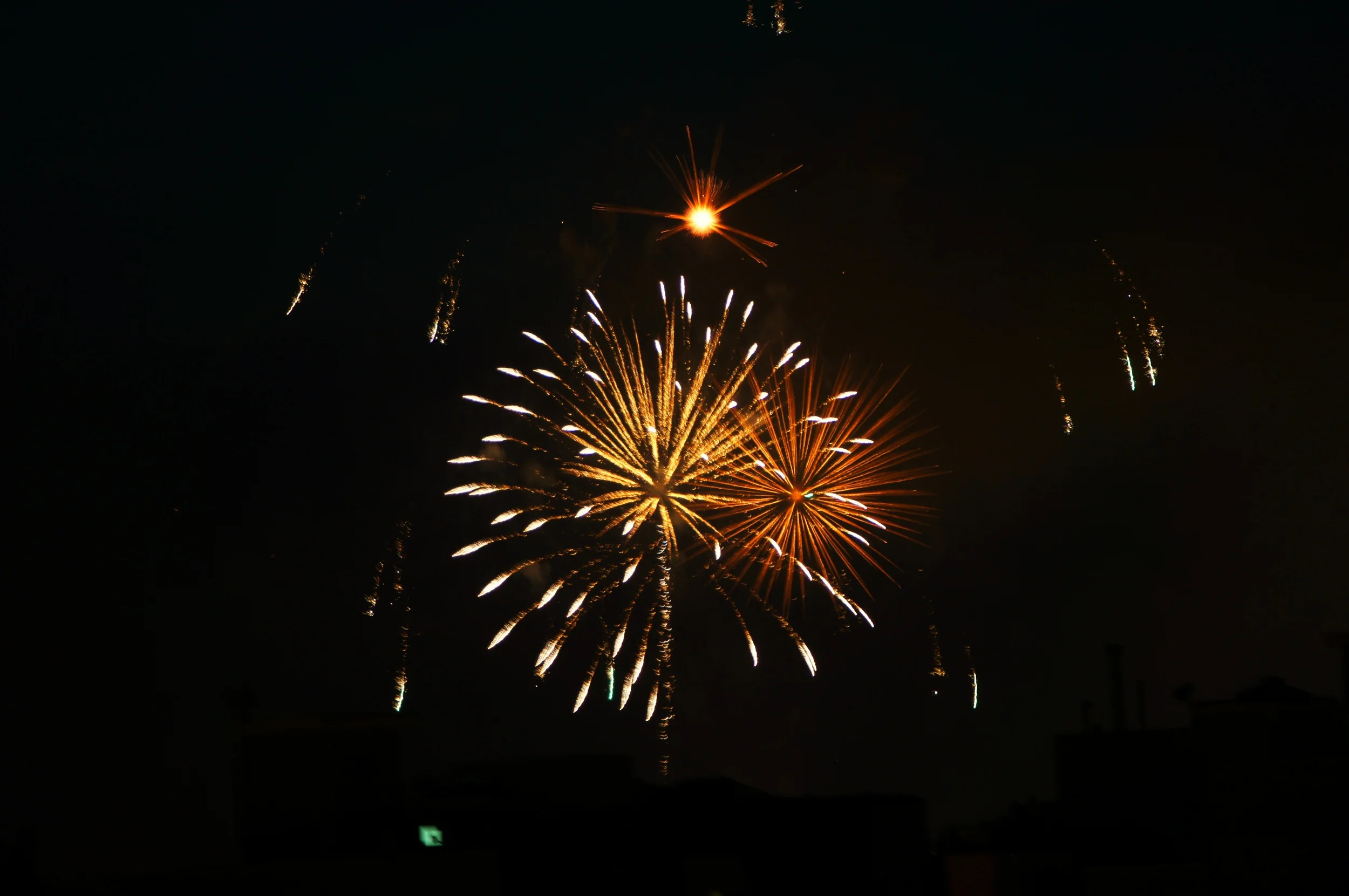 DSC01496_1.jpg