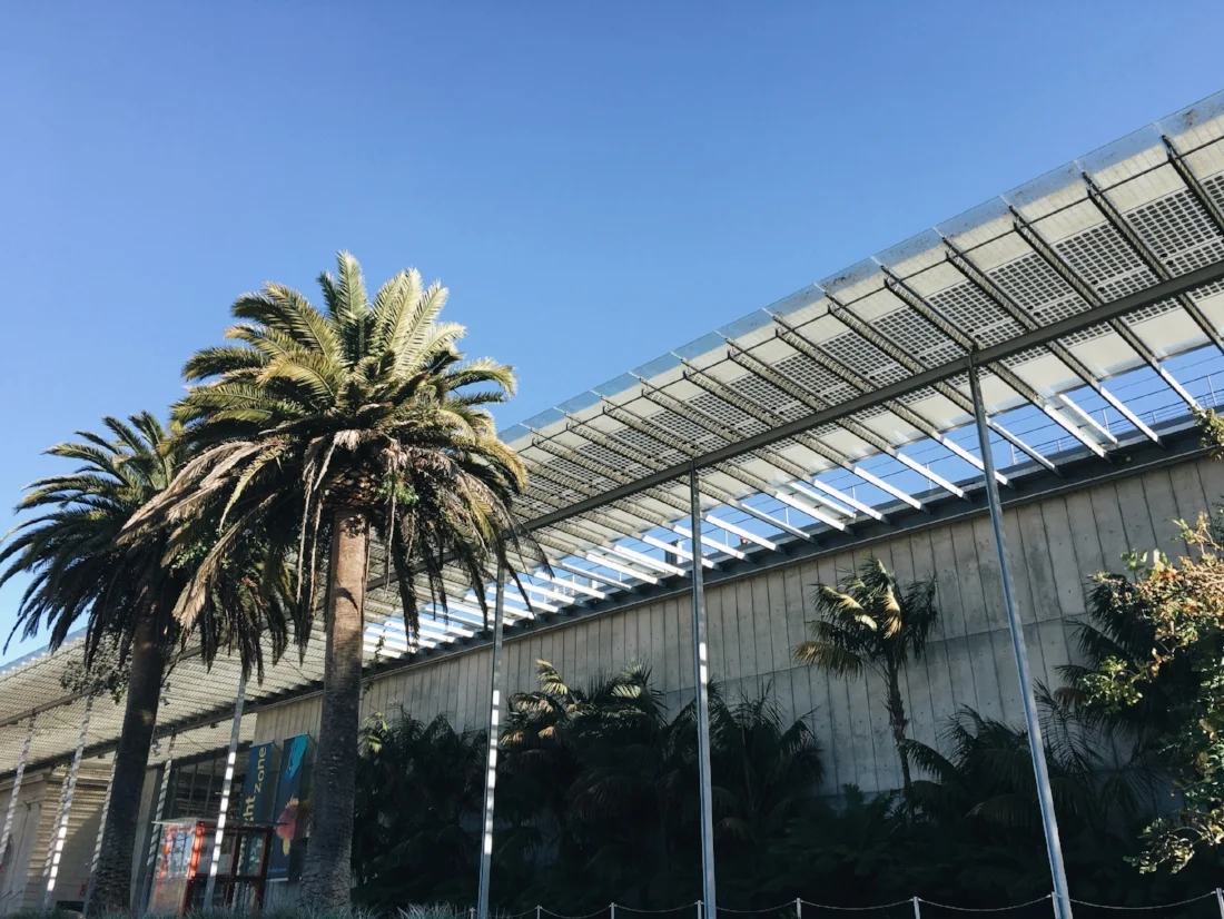 California Academy of Sciences