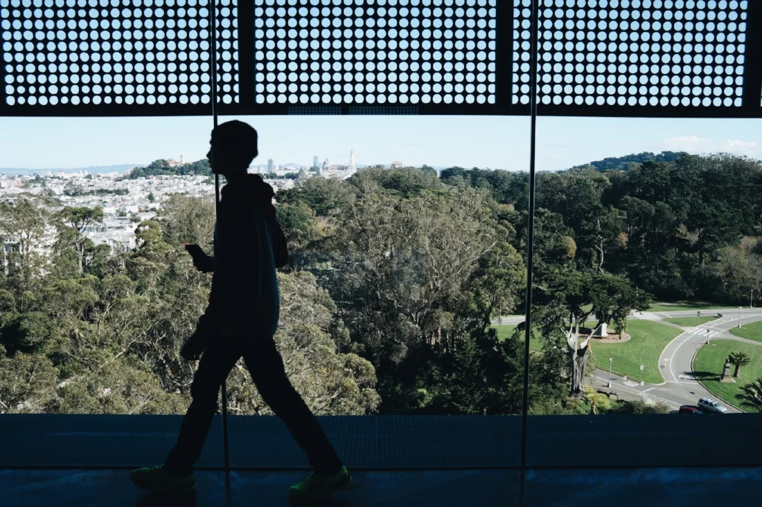 Silhouettes and city views