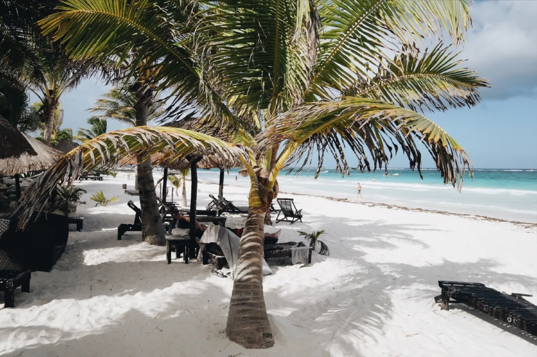 950d5-seesoomuch_beachreads1seesoomuch_beachreads1.jpg