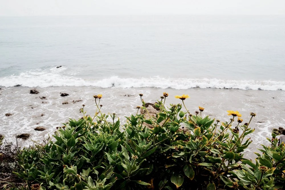 ea7e6-seesoomuch_malibu10.jpg