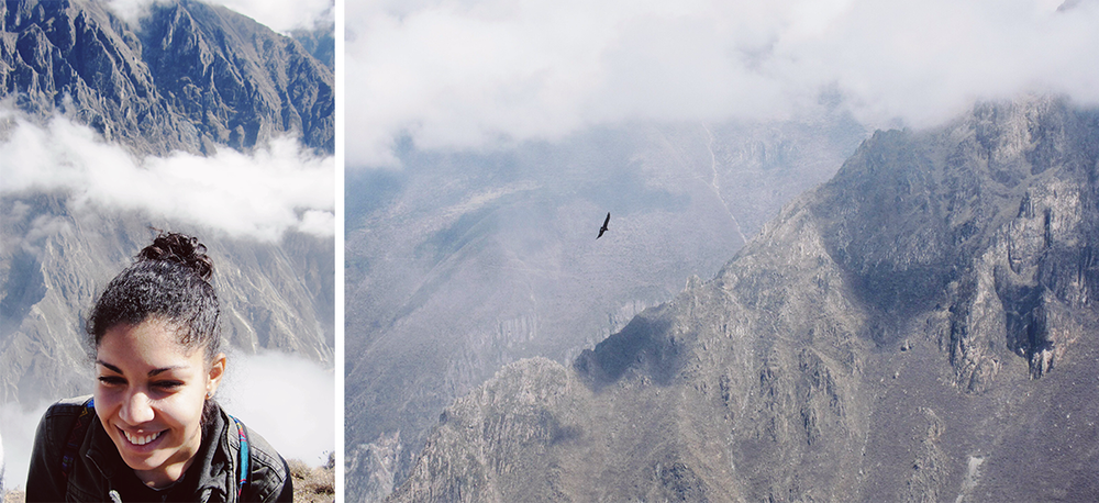 Atop Cruz del Condor with an actual condor!