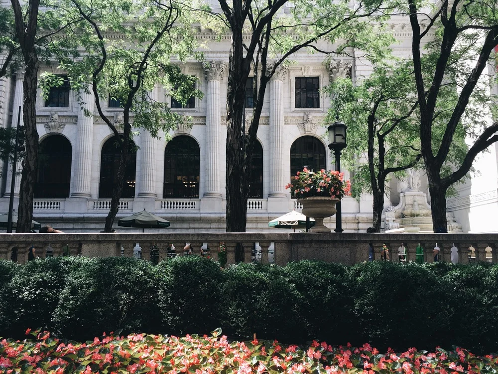 a6d80-image.jpg