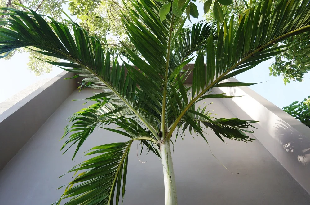 b34e6-image.jpg