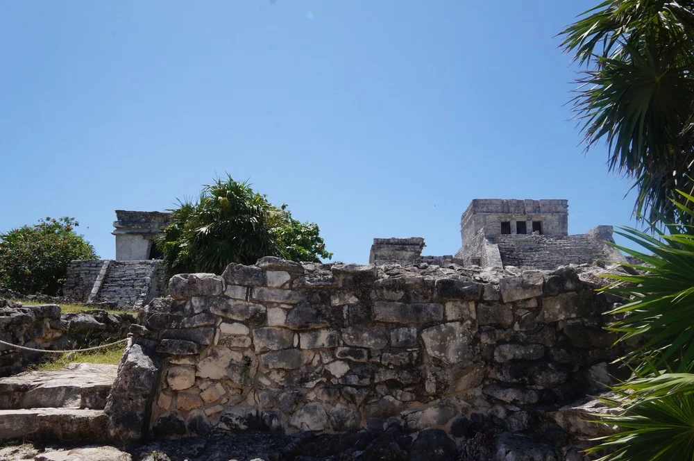 c1386-image.jpg