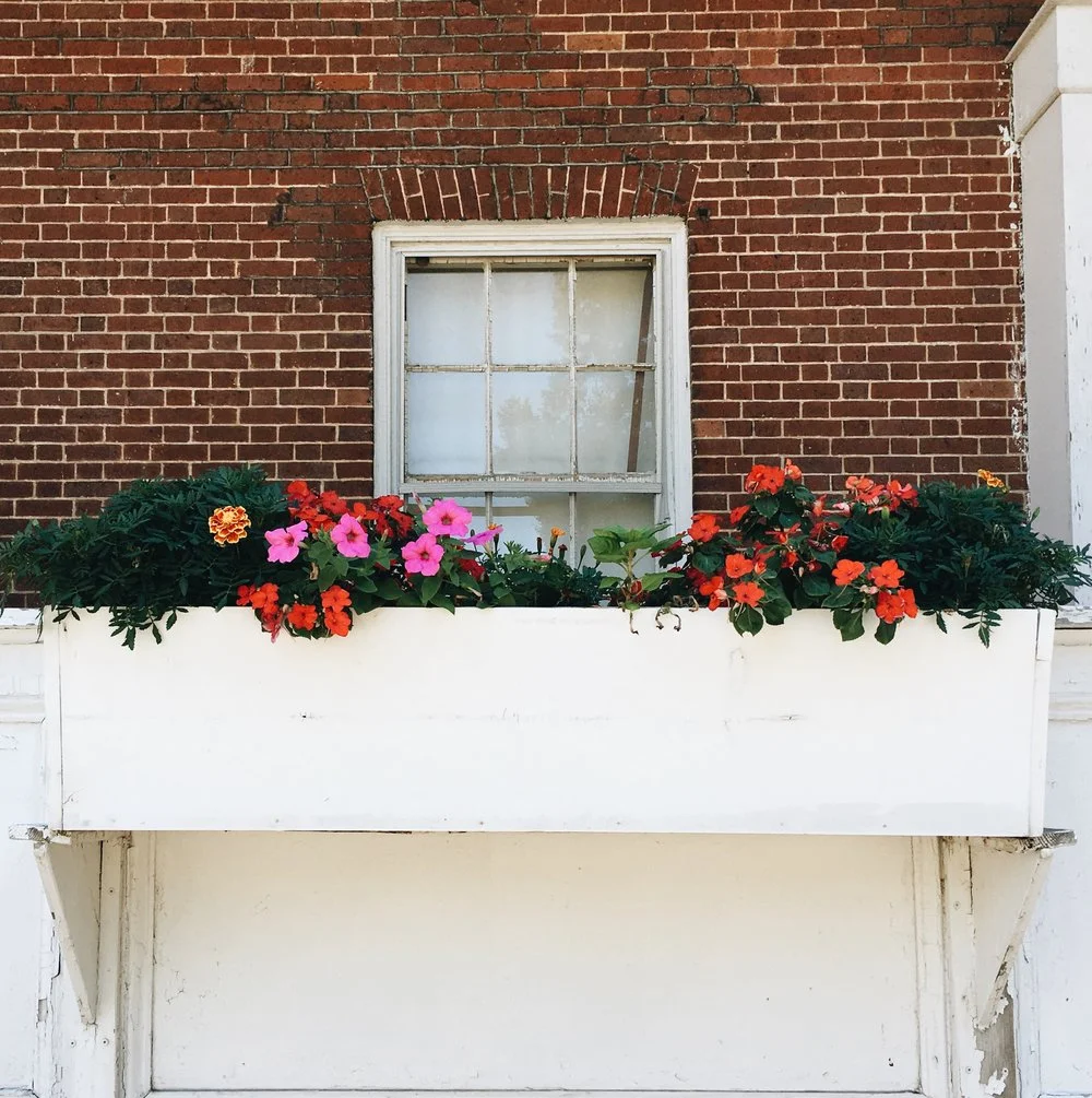 The pretty flower boxes of Fort Jay