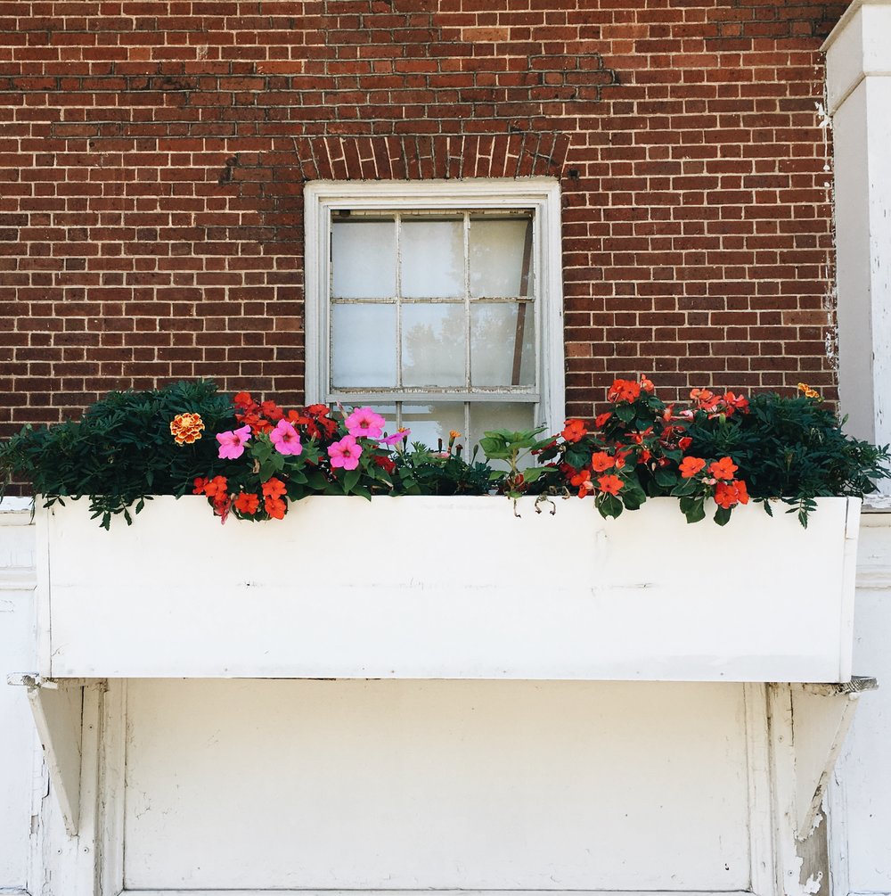 The pretty flower boxes of Fort Jay