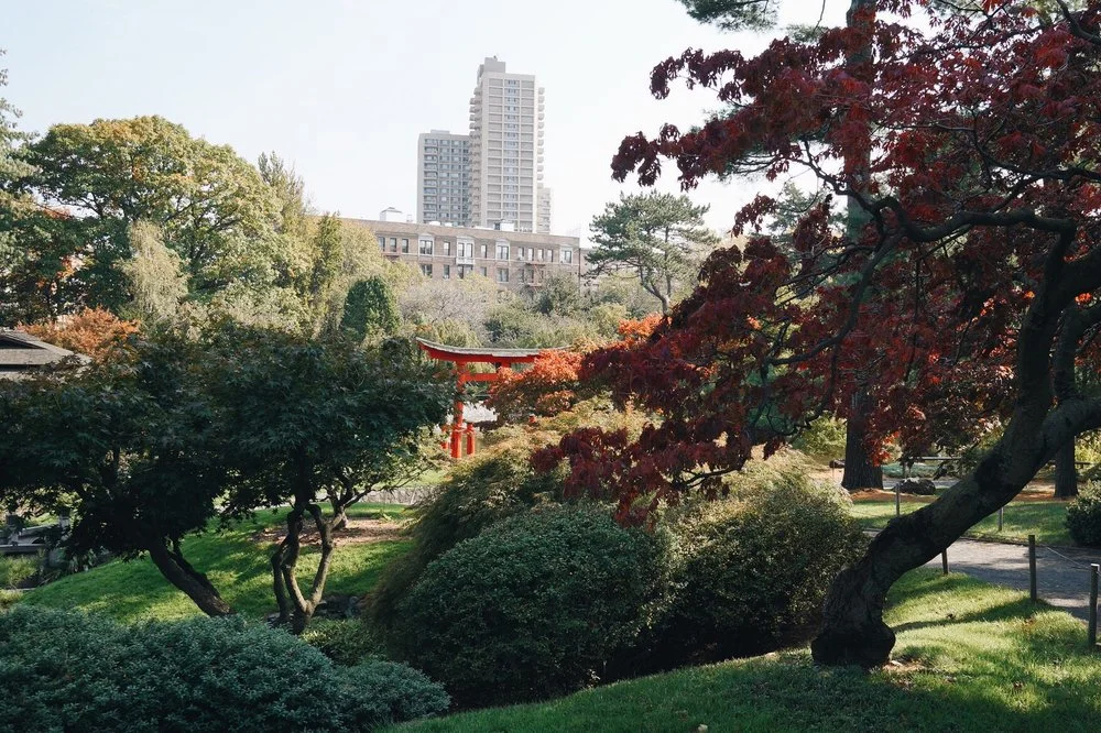 Japanese Hill-and-Pond Garden