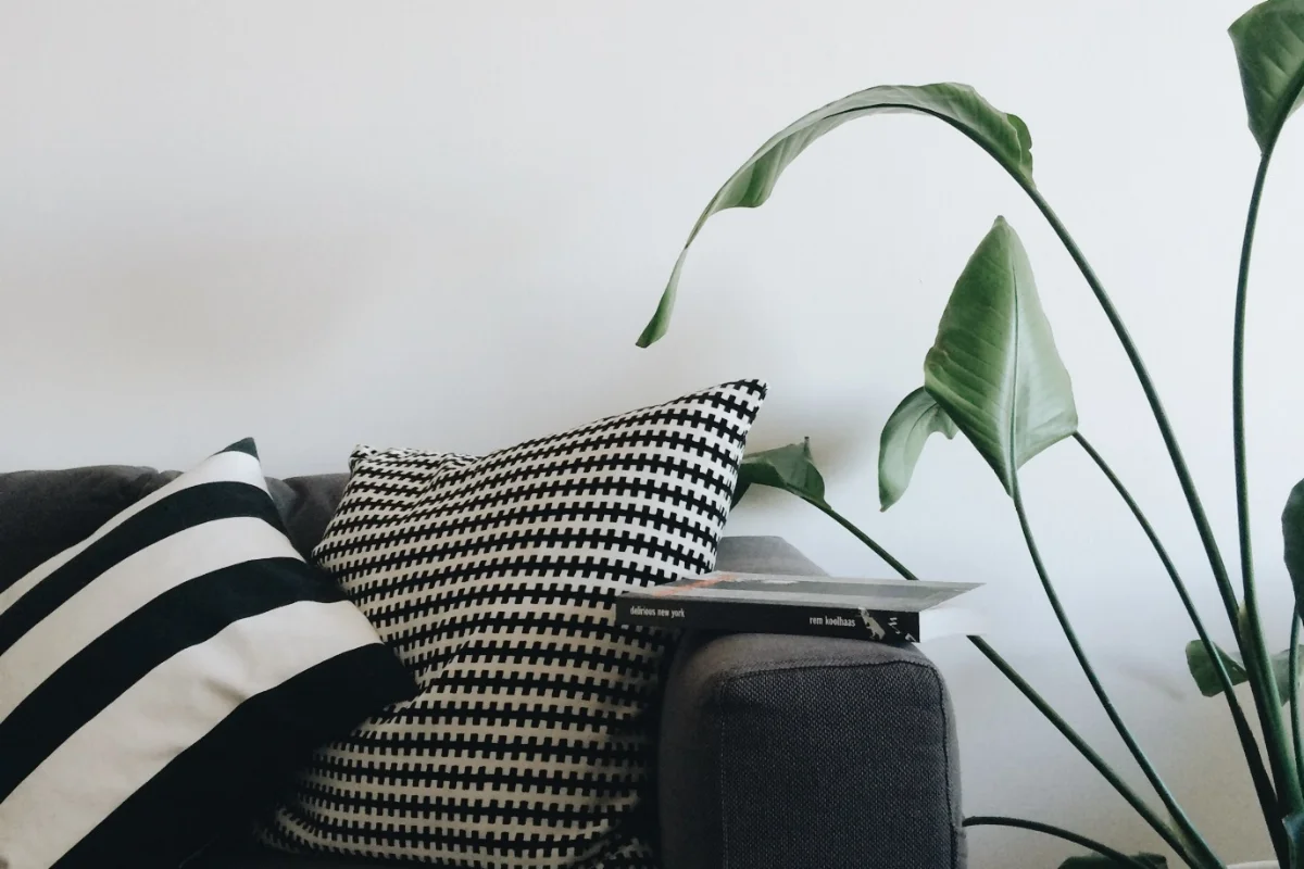 17caa-seesoomuch_minimalismseesoomuch_minimalism.jpg