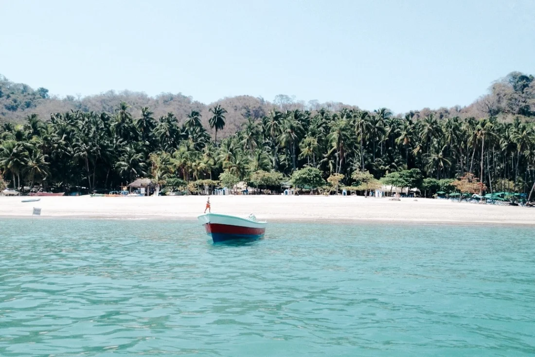 a0d64-seesoomuch_costarica_tortugaseesoomuch_costarica_tortuga.jpg