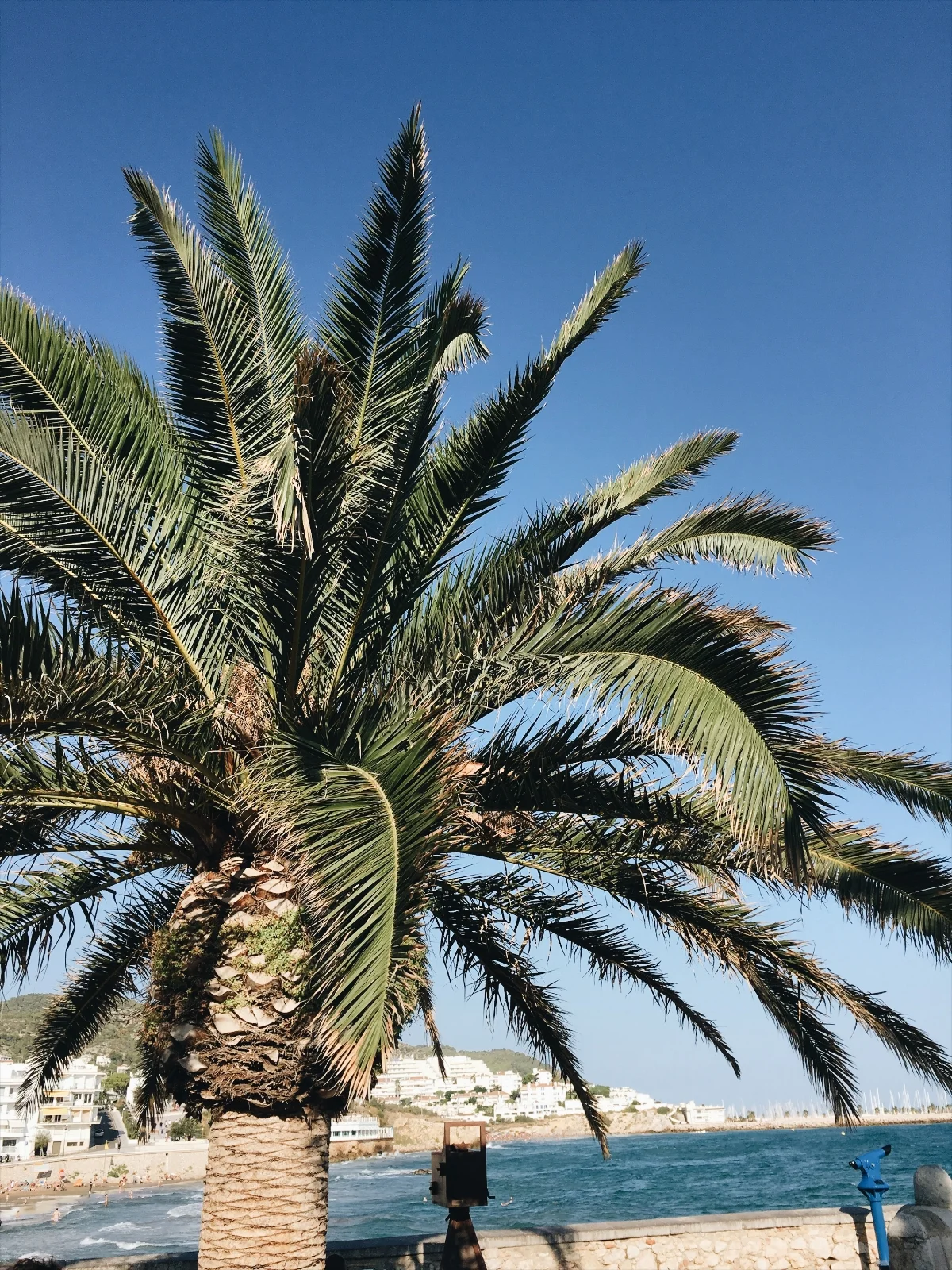 b3c3a-seesoomuch_sitges_spainseesoomuch_sitges_spain.jpg
