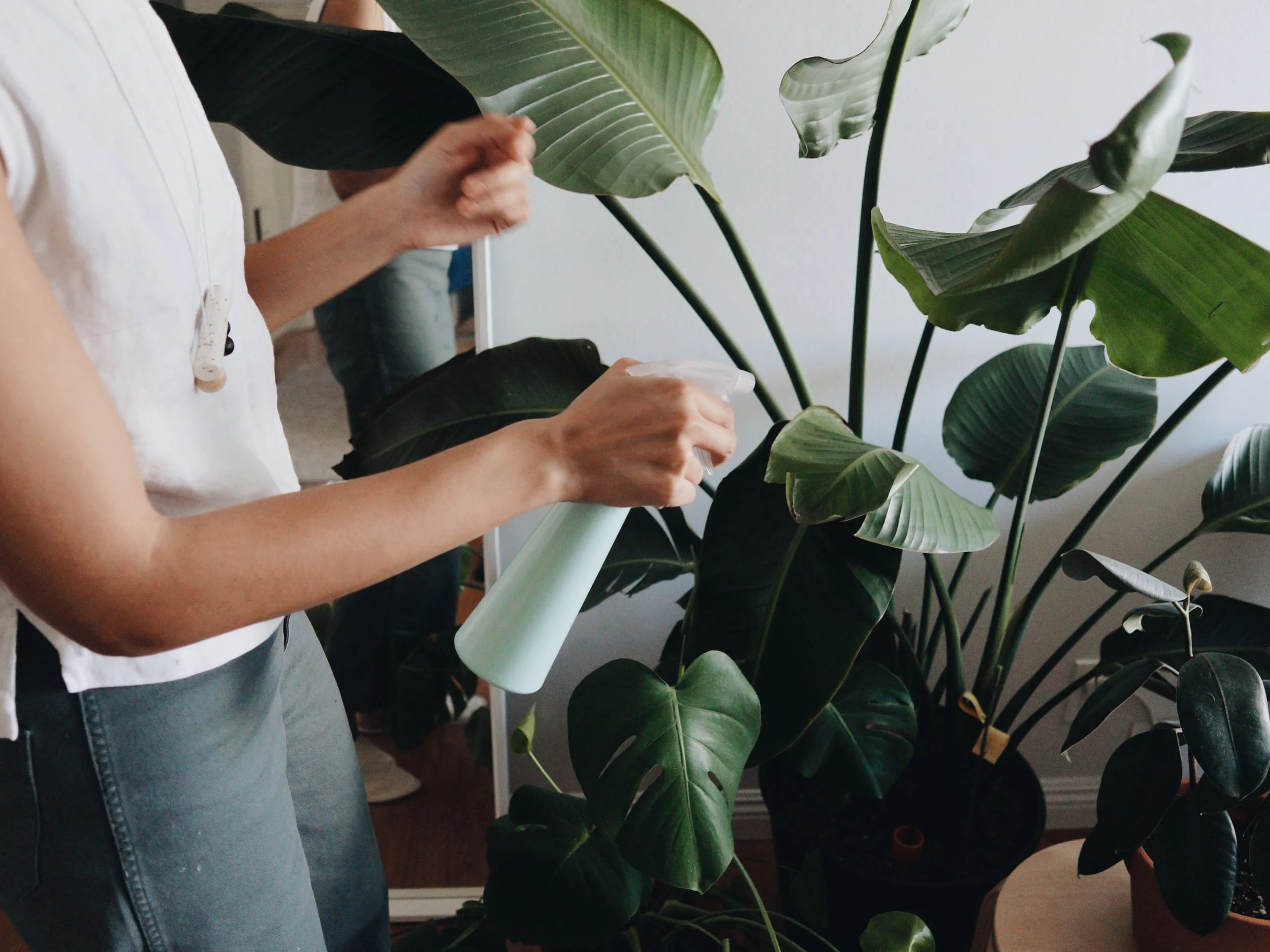 Mindful_Notes_Ep1_Plants-Make-People-Happy.jpg