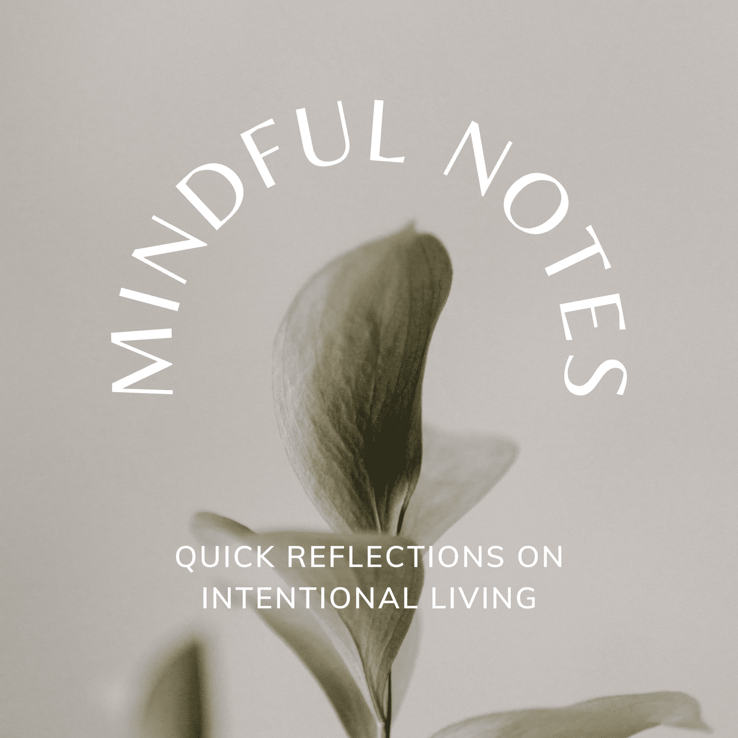 Why Mindful Notes | Episode 6 episode artwork