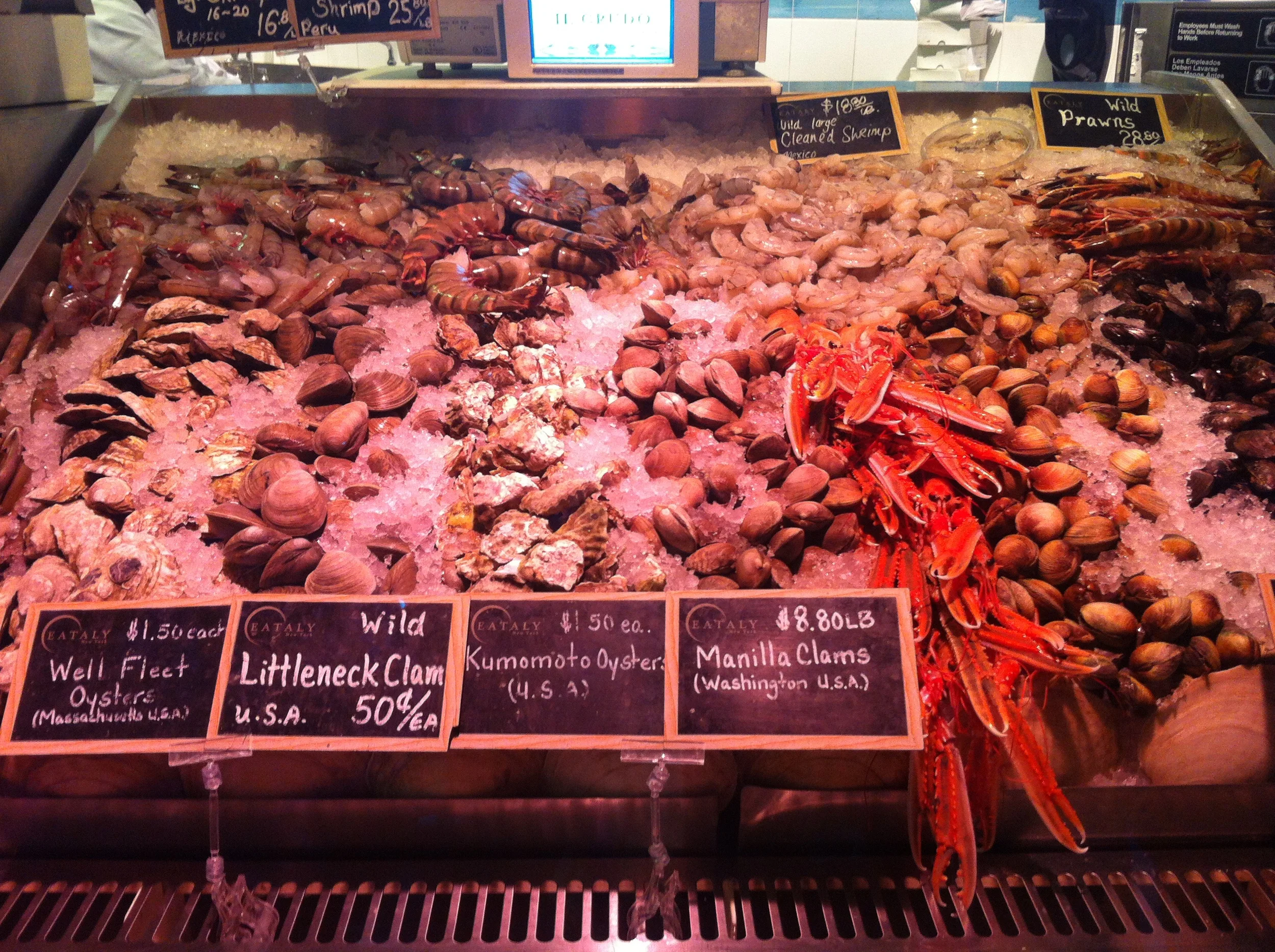 Frutos do mar...