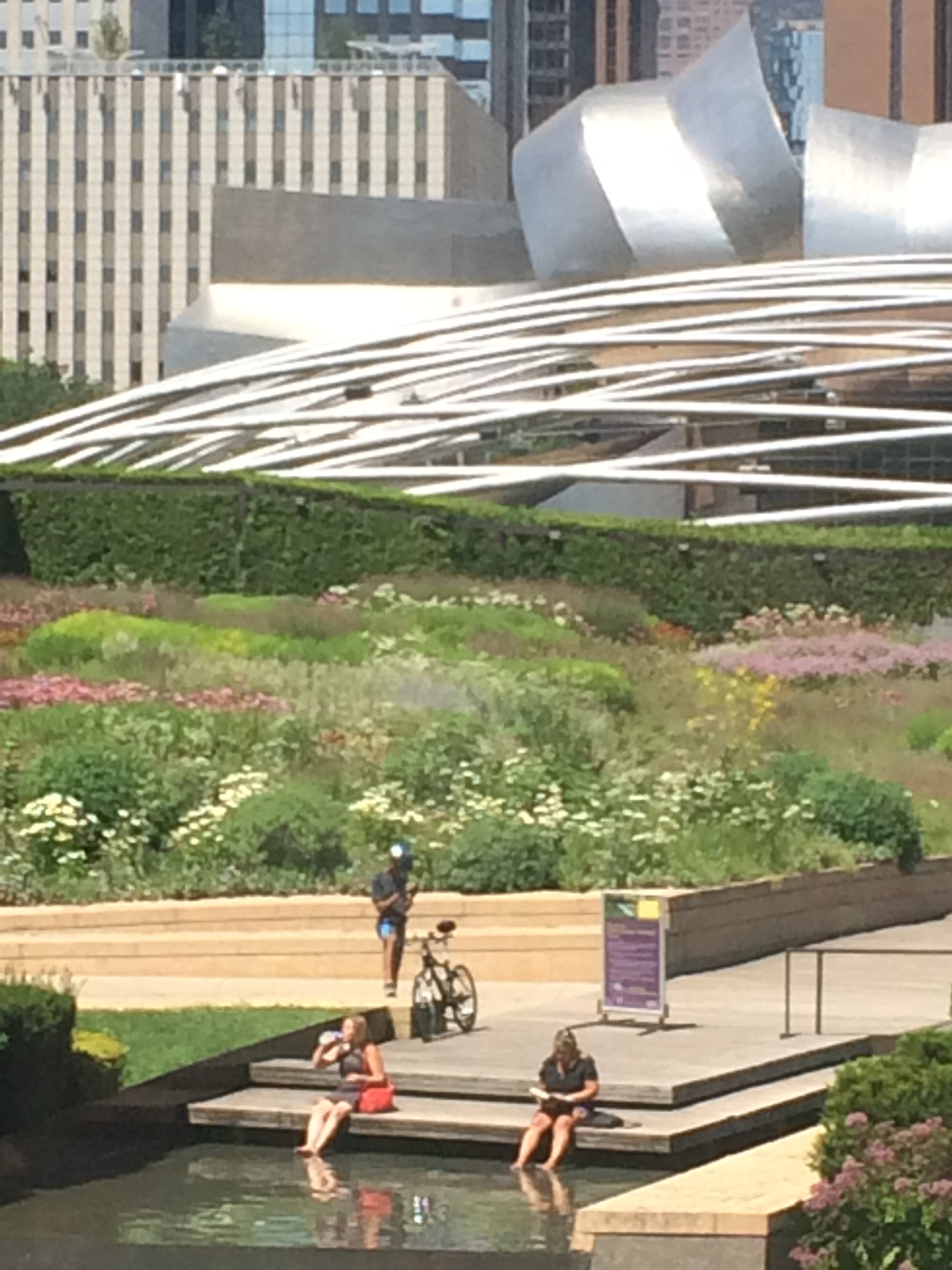 Vista que se tem do Lurie Garden quando se está no Art Institute. 
