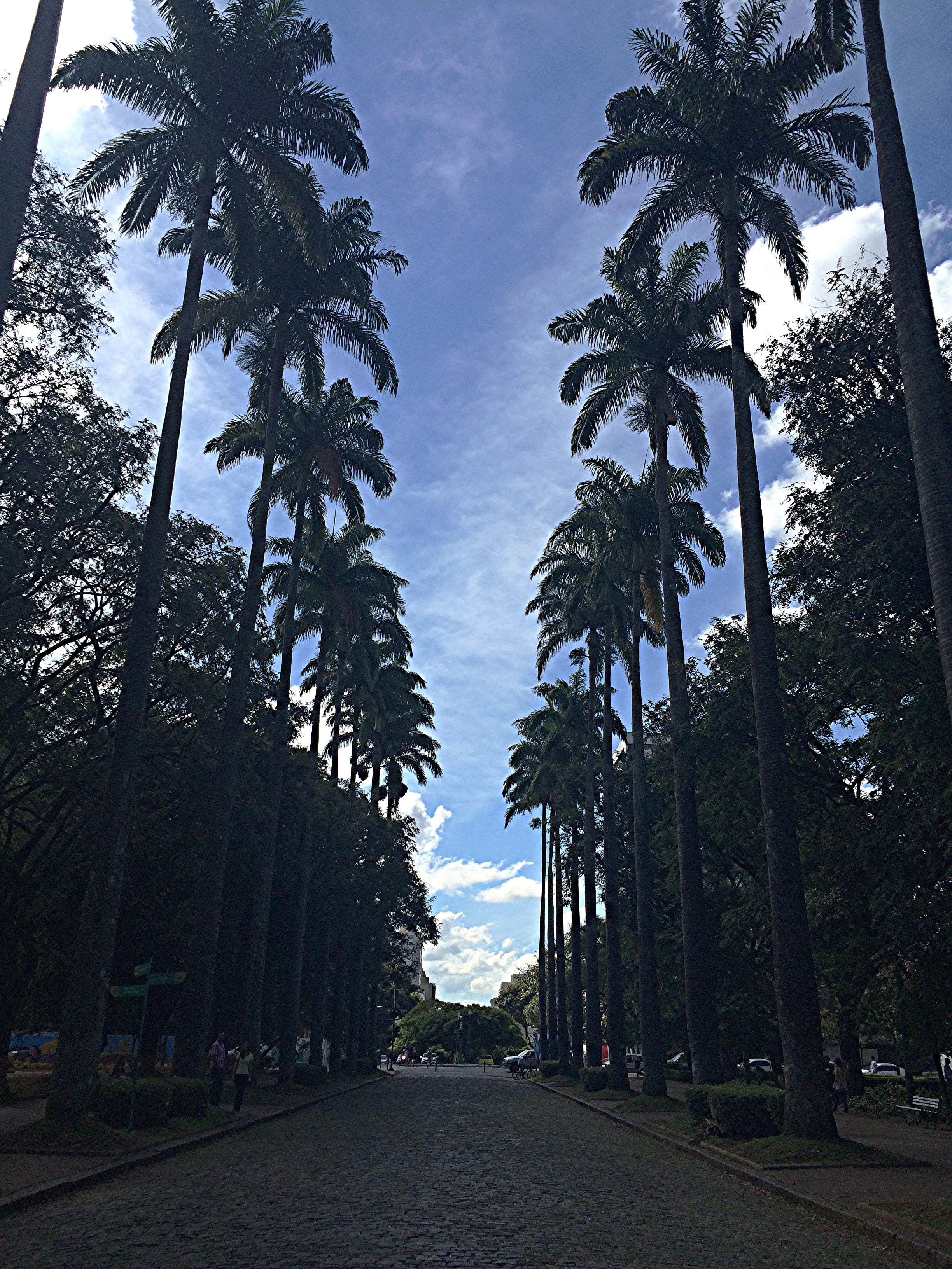 A Praça da Liberdade é uma lugar incrível, onde vou sempre que posso pra passear. E agora está muito mais legal ir lá, porque os prédios que circundam a praça, antes secretarias do estado, foram transformados em Museus incríveis! Se você tirar um dia só pra passear por lá, vai voltar pra casa cheio de estórias pra contar. 