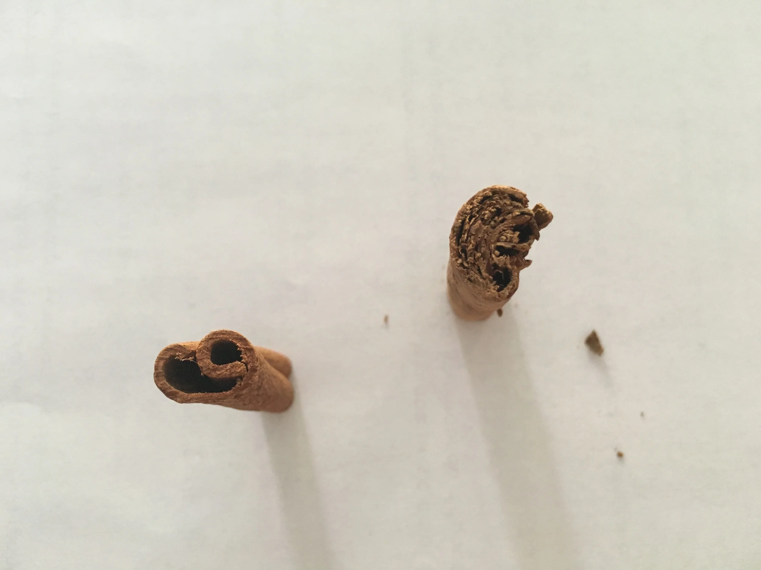Aqui dá pra perceber melhor as diferenças: enquanto a canela da china possui uma casca grossa e cor mais intensa, a Canela Real do Ceilão tem a casca fina e é enrolada como se fosse um charuto, com camadas sucessivas da casca. 