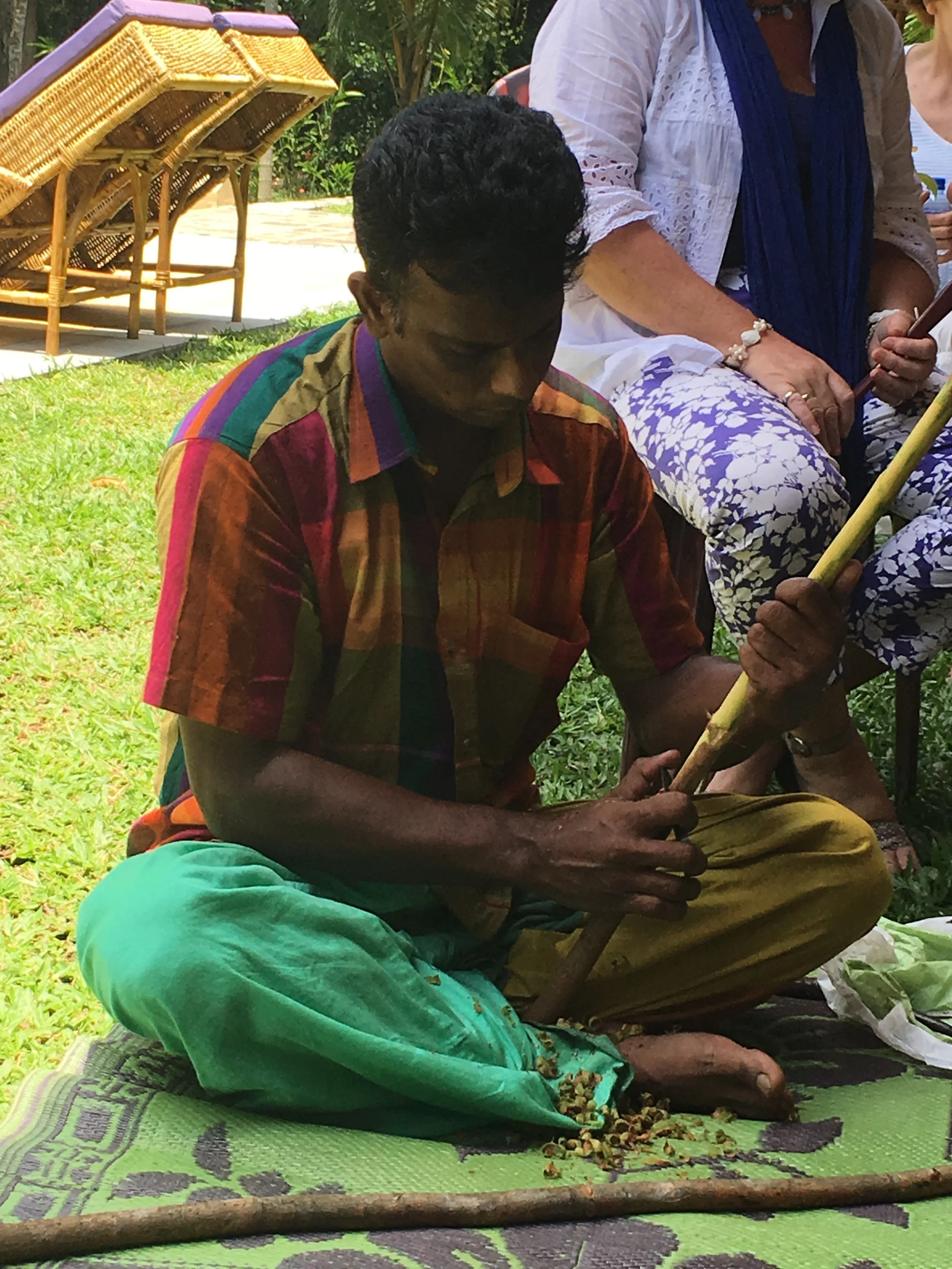 O primeiro passo é raspar toda a parte exterior da casca do caule, usando um utensílio em formato de bumerangue. É só uma retirada de "pele" mesmo, como uma esfoliação. 