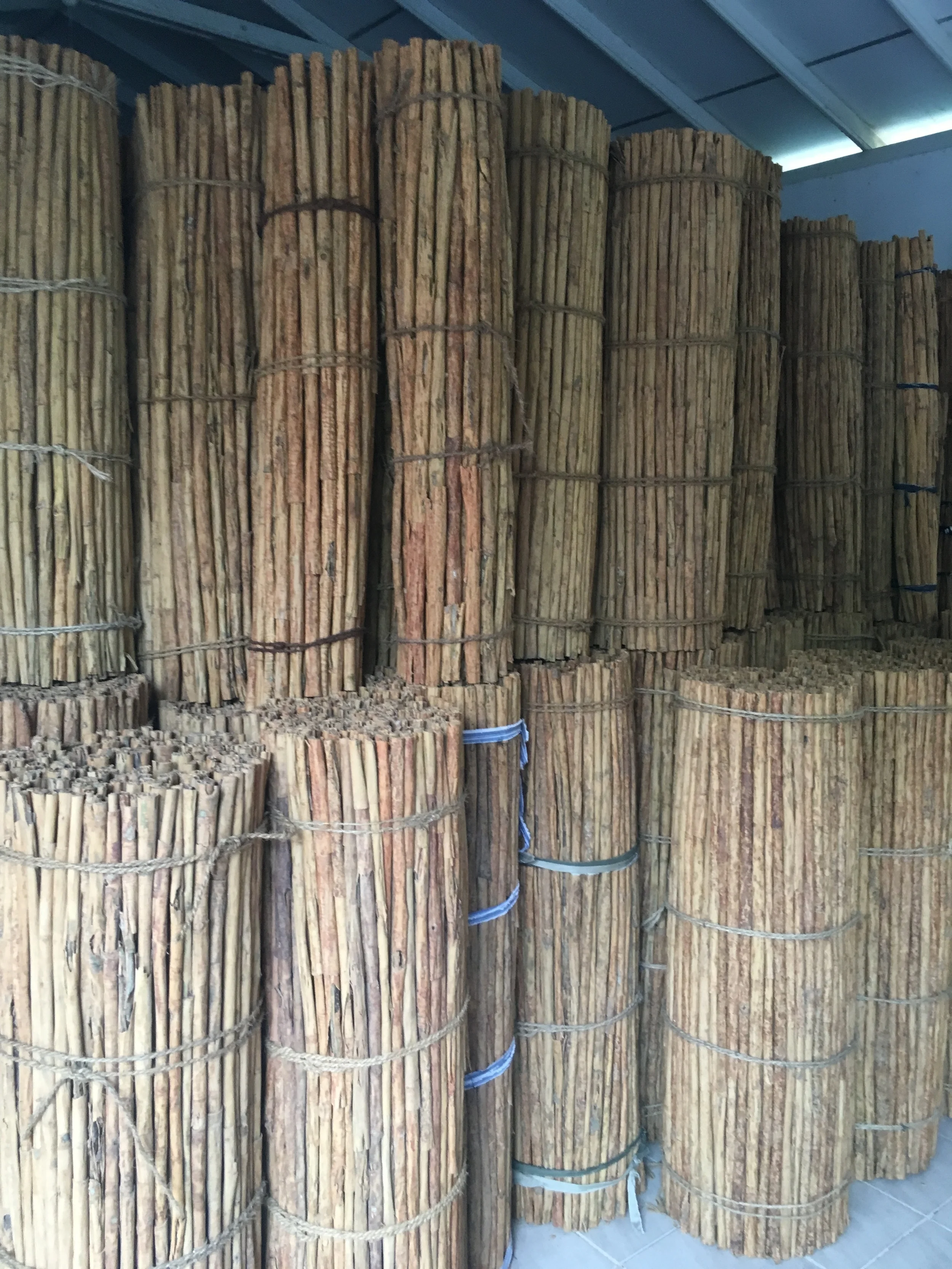 Depois de assistirmos ao processo de produção, fomos ao galpão onde as canelas são armazenadas para a exportação. Se fosse canela da china, penso que seria impossível permanecer num galpão cheio delas. Mas como a do Ceilão possui um aroma muito mais suave, estar na presença de tanta canela junta foi muito tranquilo. Um leve cheirinho de madeira com especiaria no ar. 