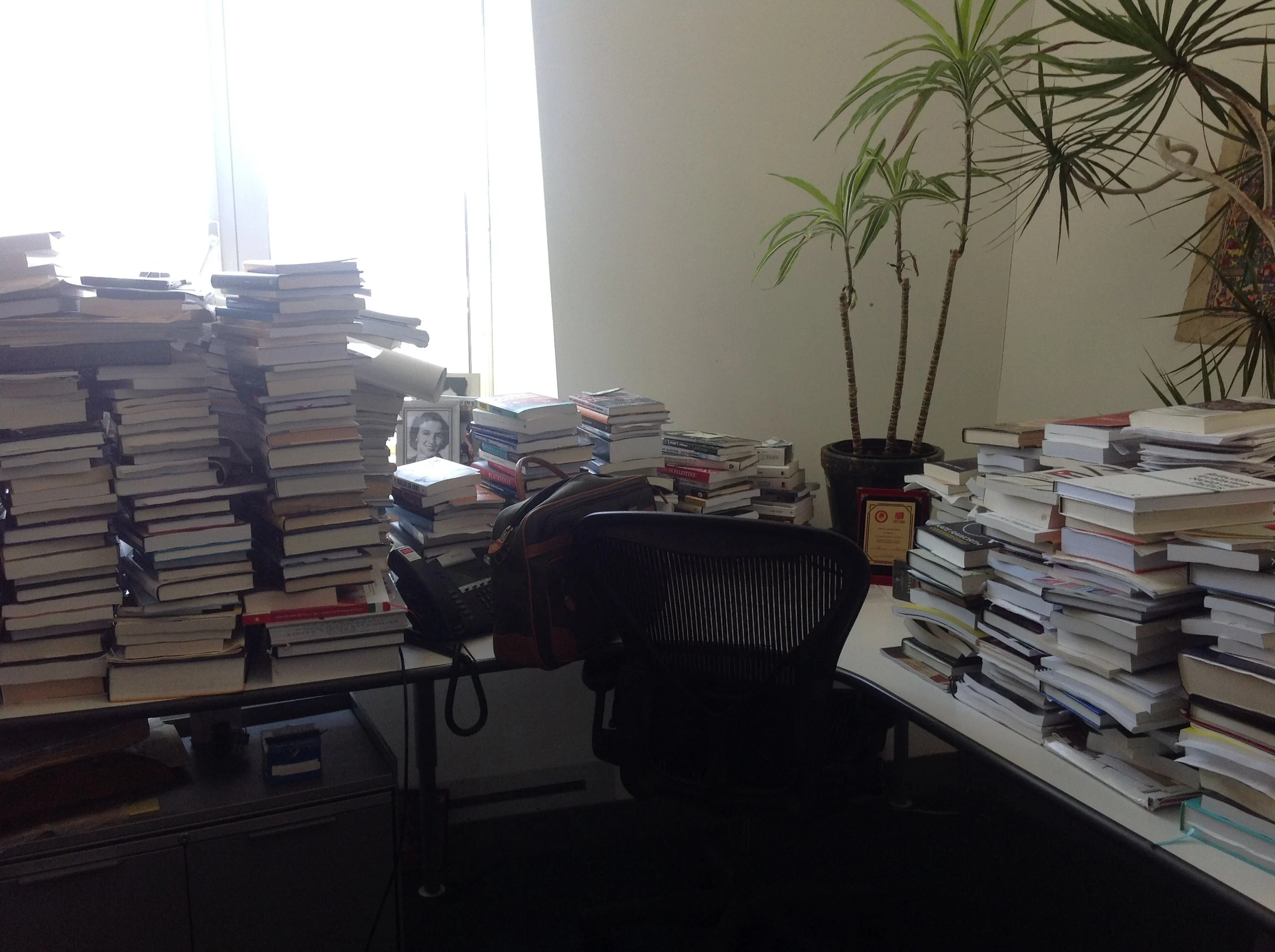 bureau chomsky.JPG