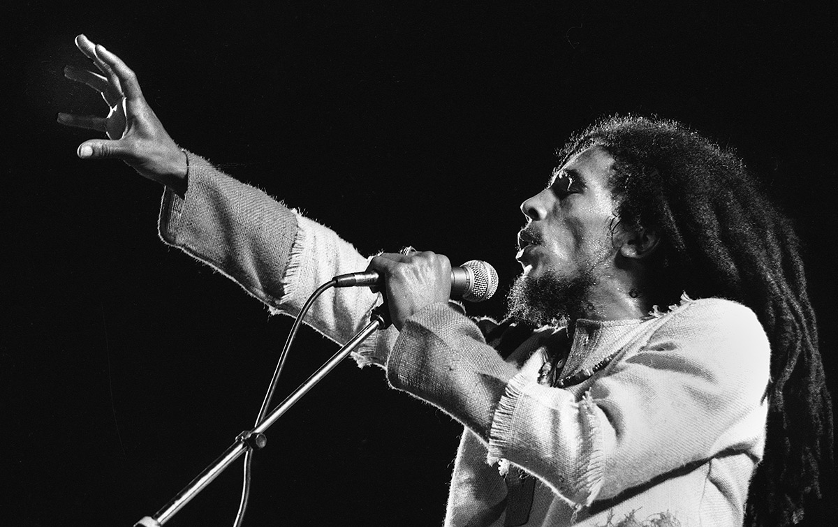 marley_12.jpg