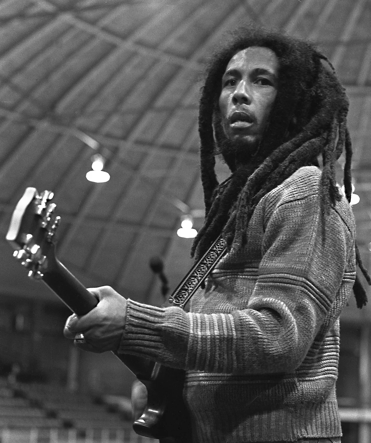marley_14.jpg