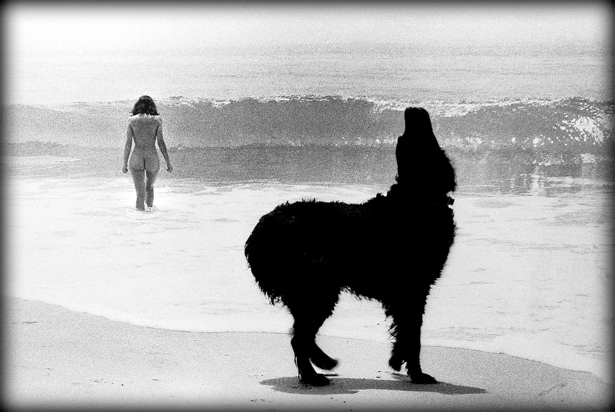 Nude-bather-w-dog.jpg