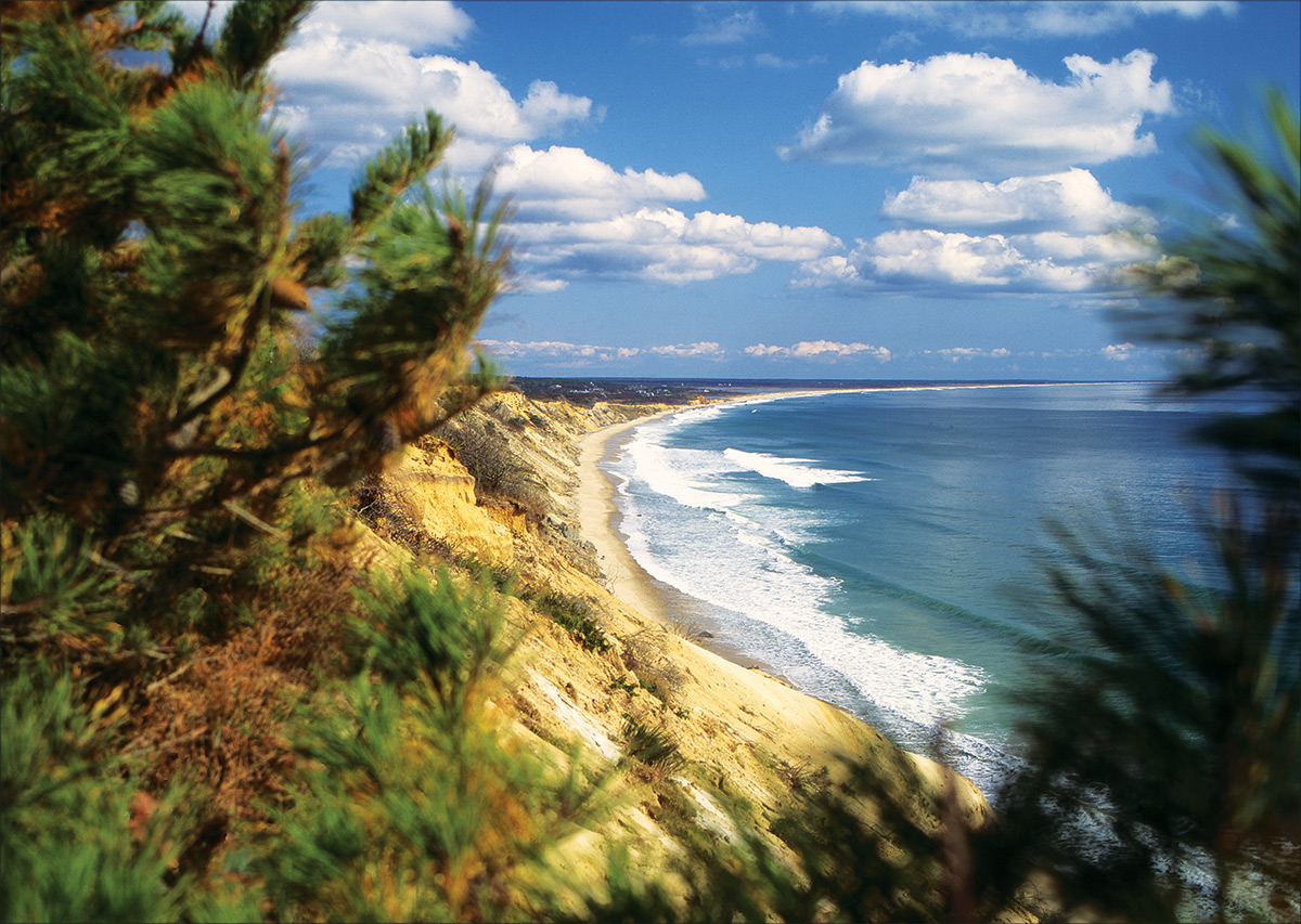 Chilmark-Cliffs-summer.jpg