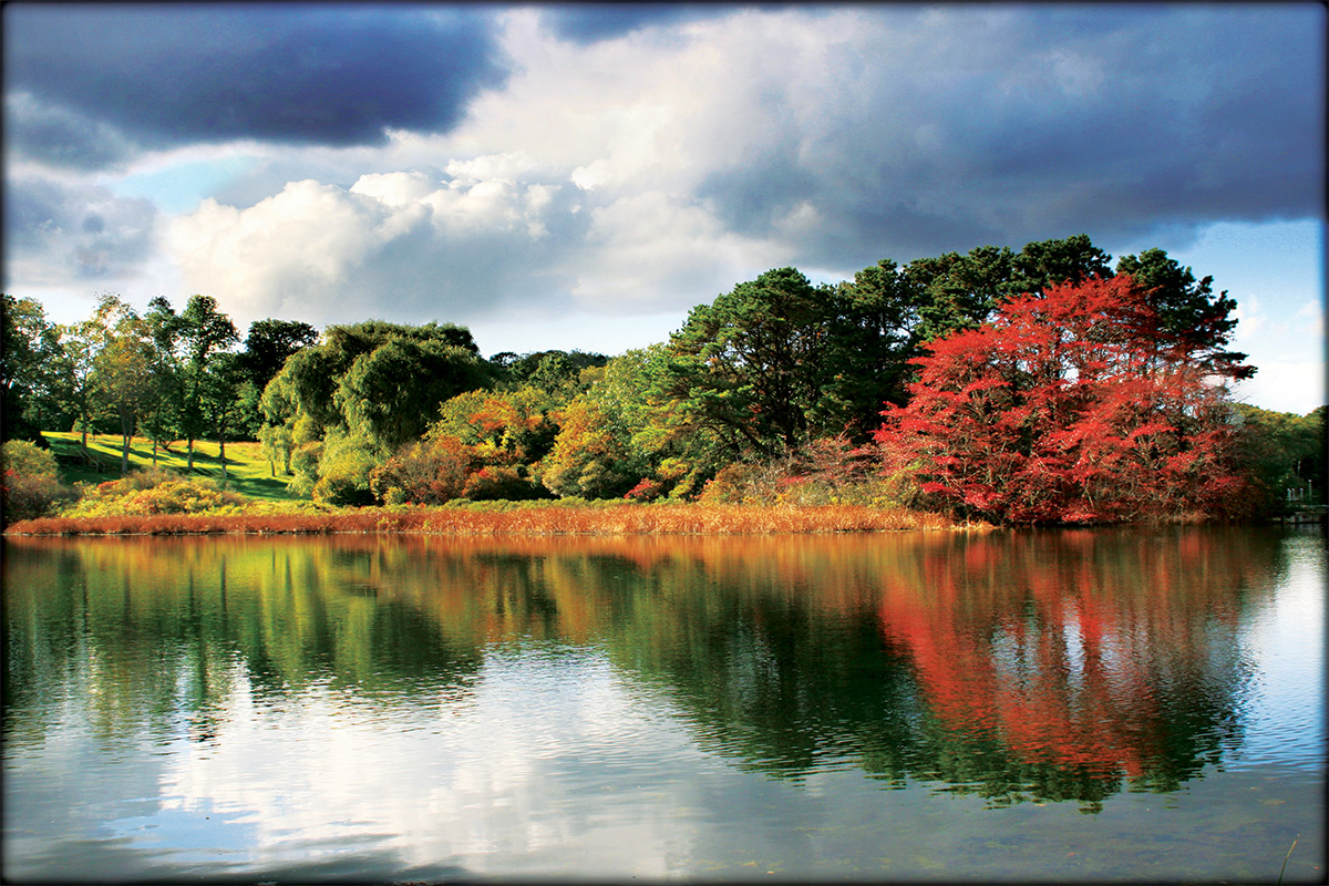 Reflections-2.jpg