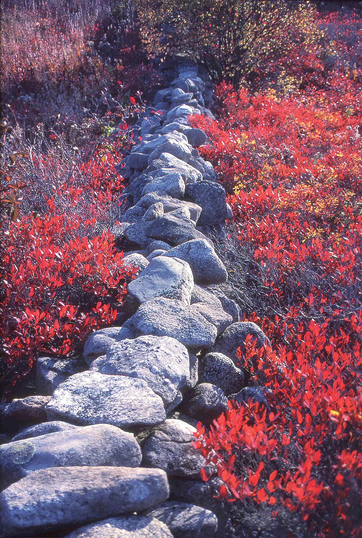 Stone-Walls-Vert.jpg