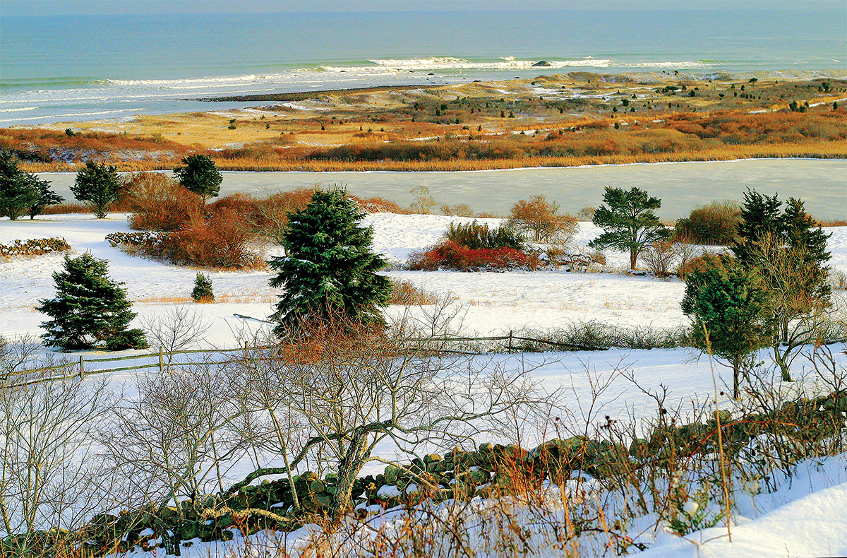 Winter-Landscape.jpg