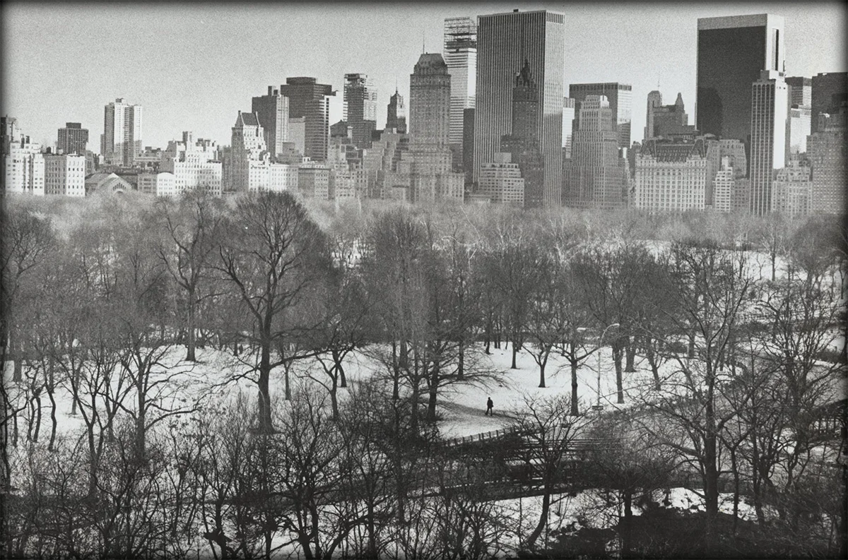 The-only-living-boy-in-central-park,-new-york.jpg