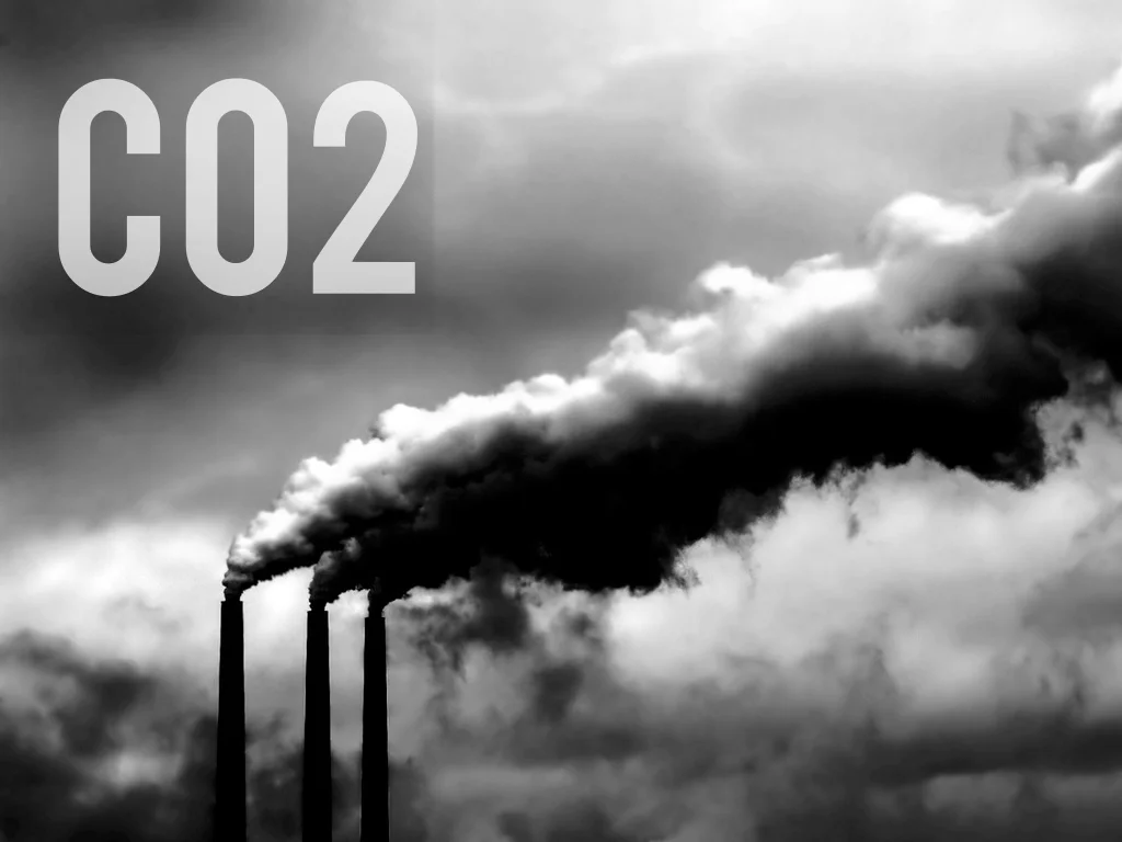 Rick Schuhmann_Slides.014.jpg