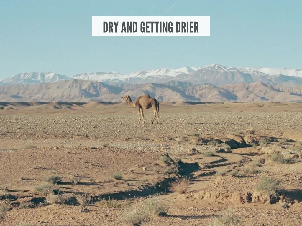 Rick Schuhmann_Slides.012.jpg